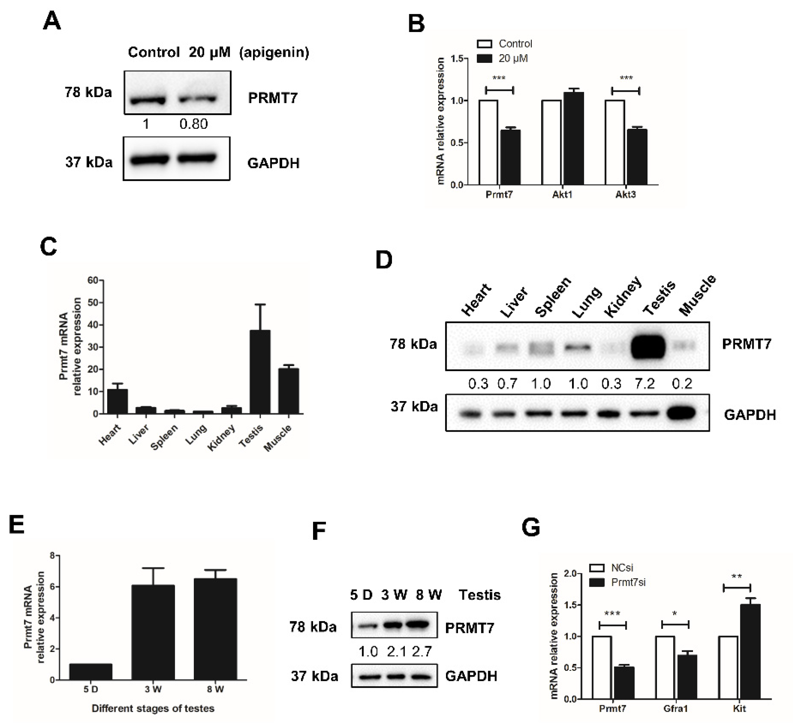 Ijms 22 12209 g002 550