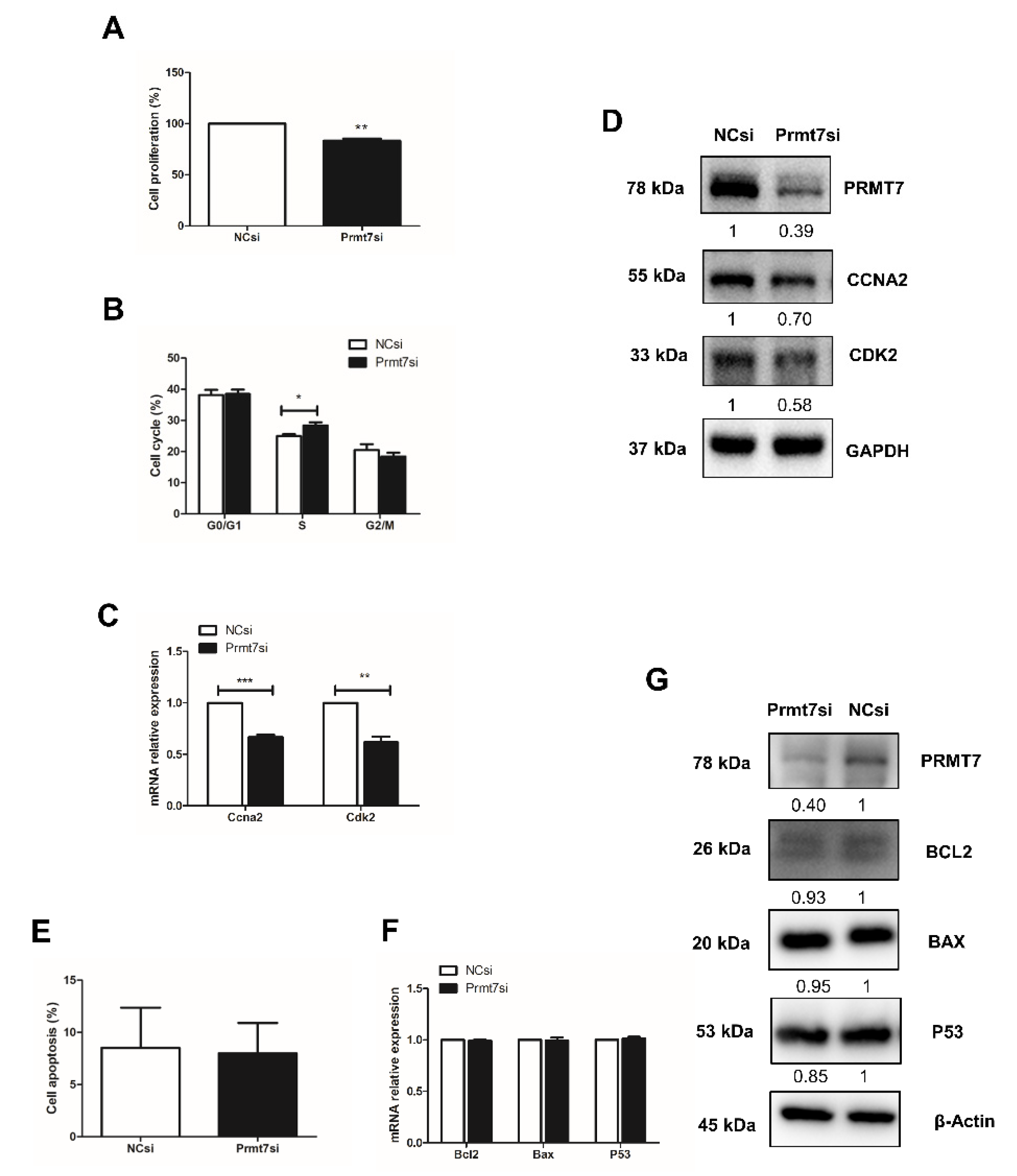 Ijms 22 12209 g003 550