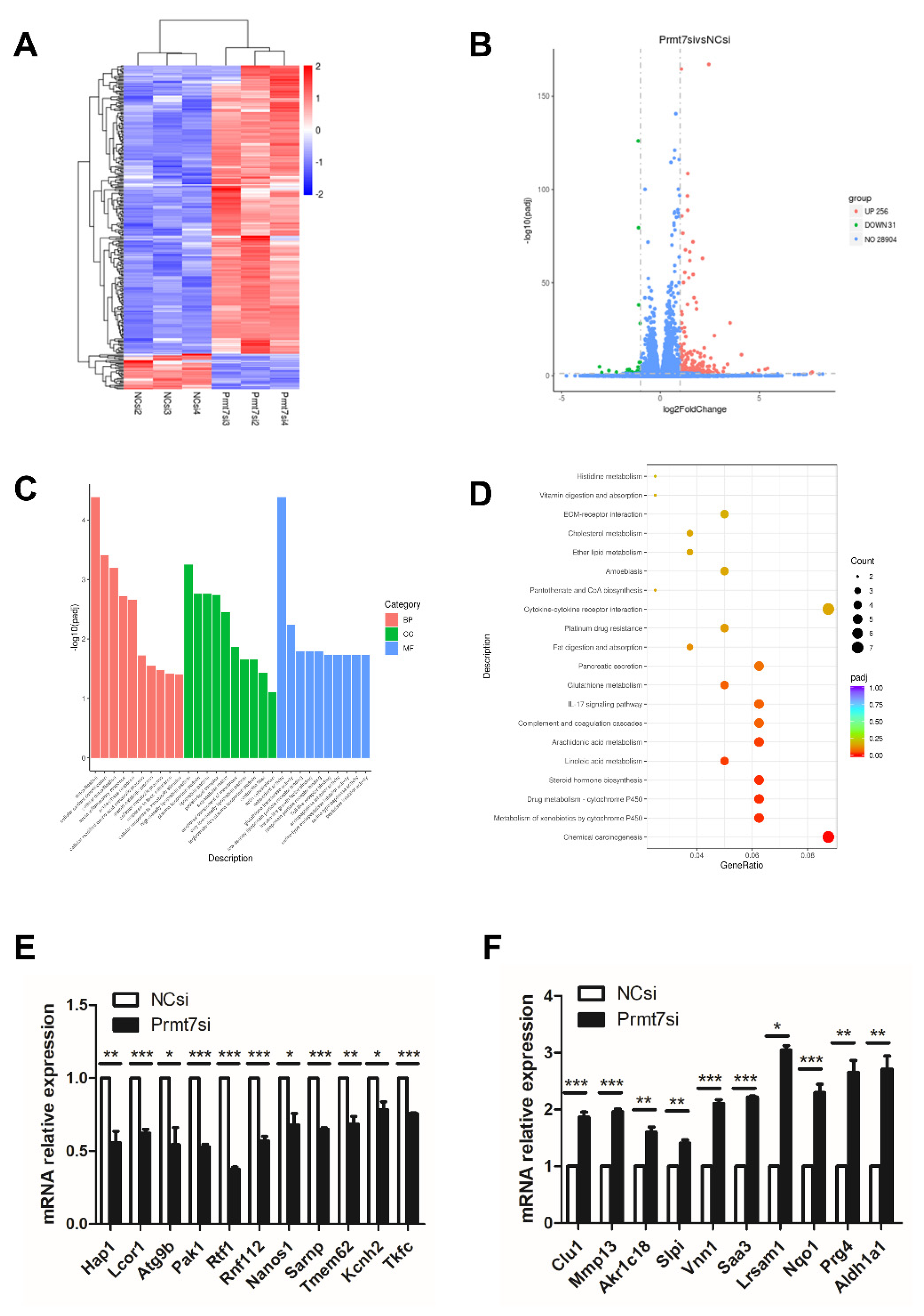 Ijms 22 12209 g004 550