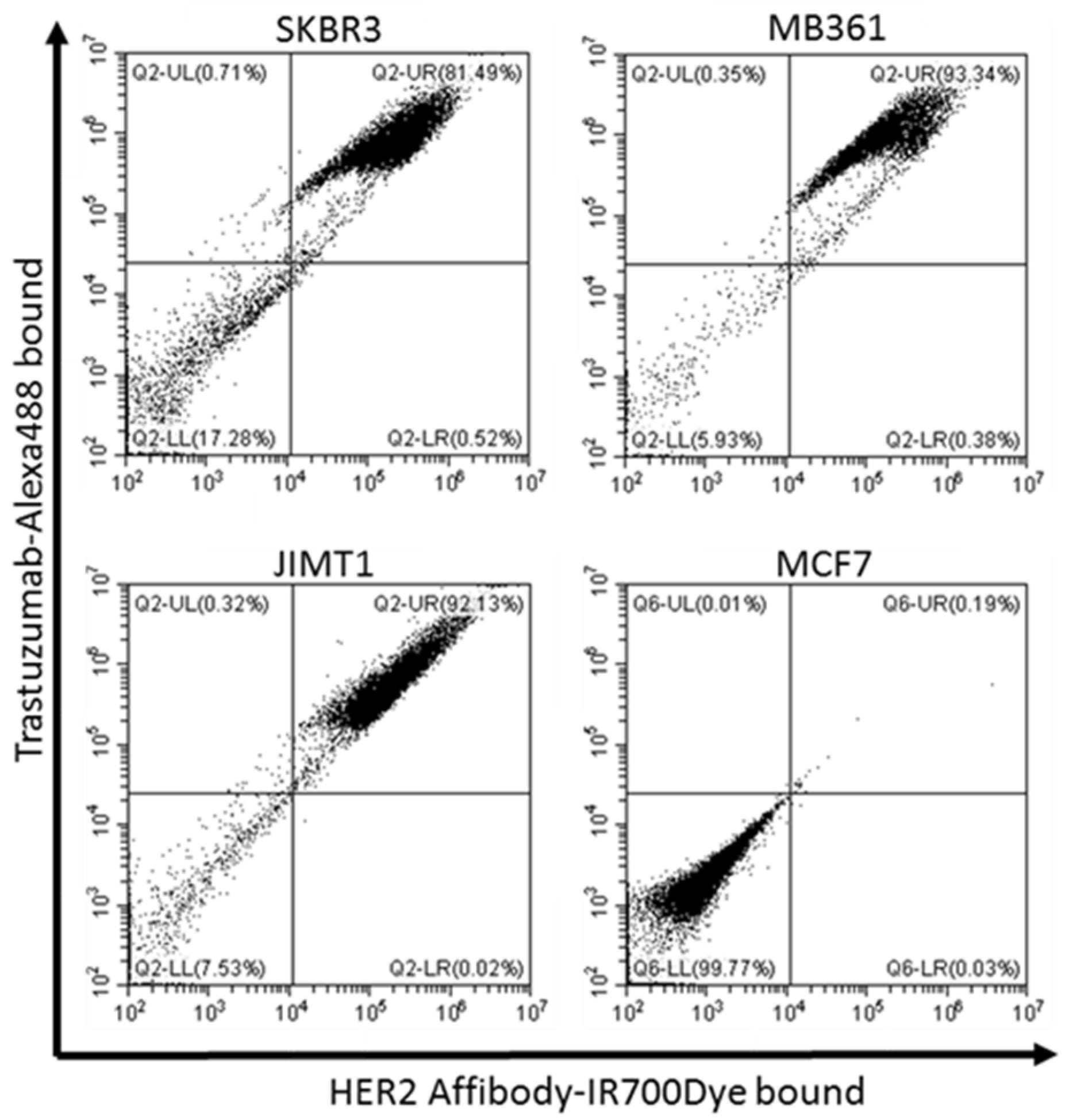 Ijms 22 12213 g004 550