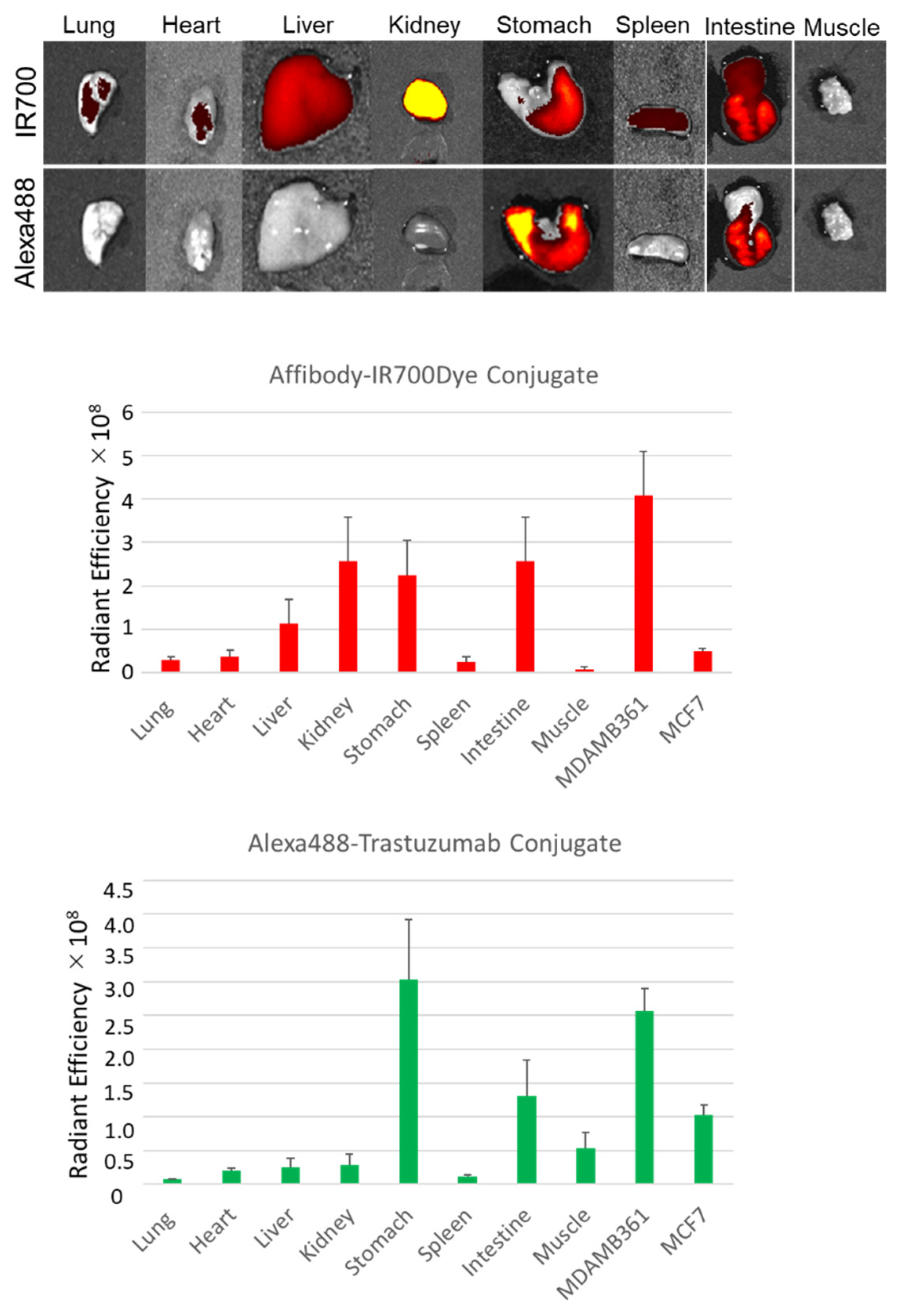 Ijms 22 12213 g008 550