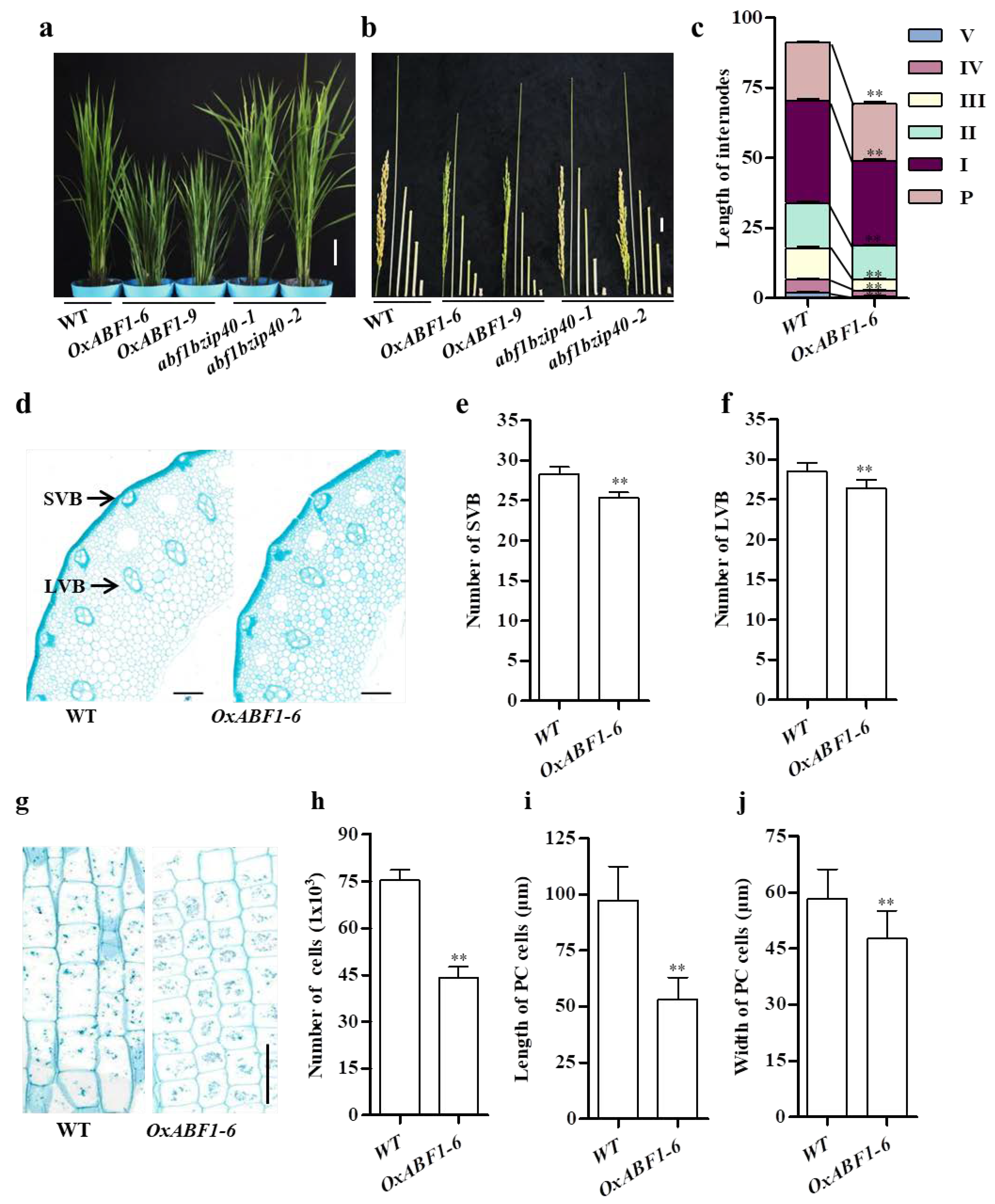 Ijms 22 12220 g001 550