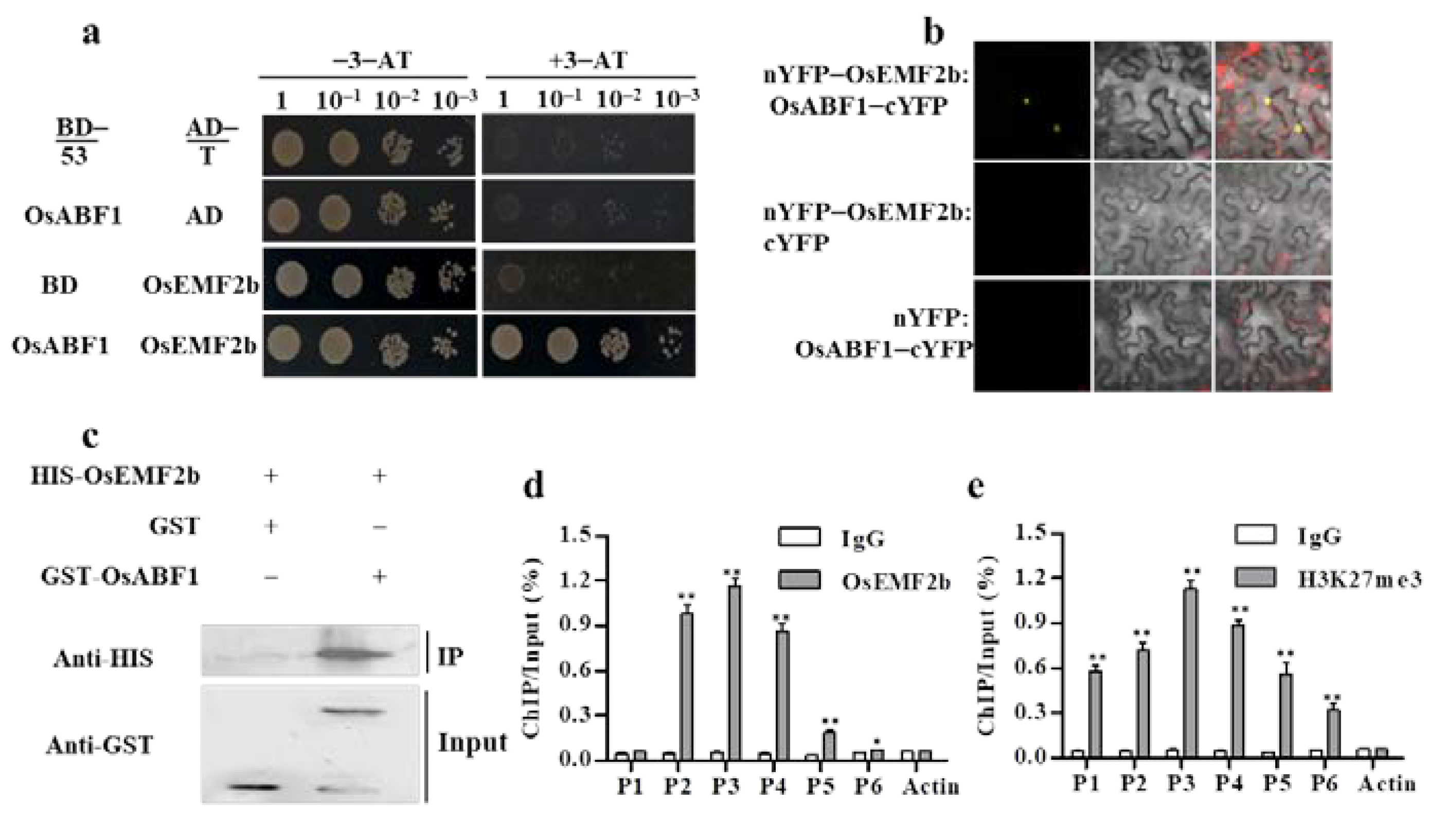 Ijms 22 12220 g004 550