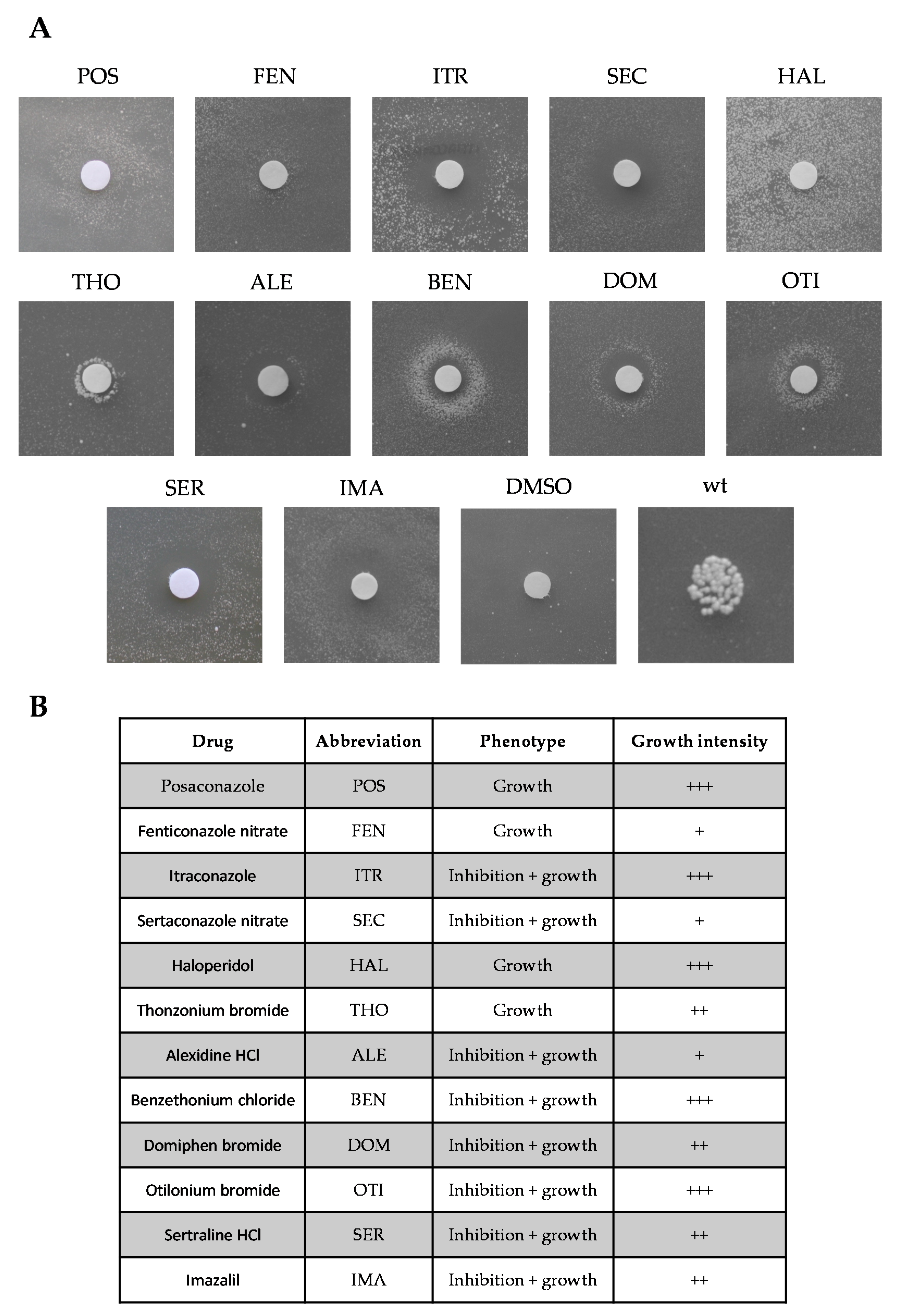 Ijms 22 12223 g001 550