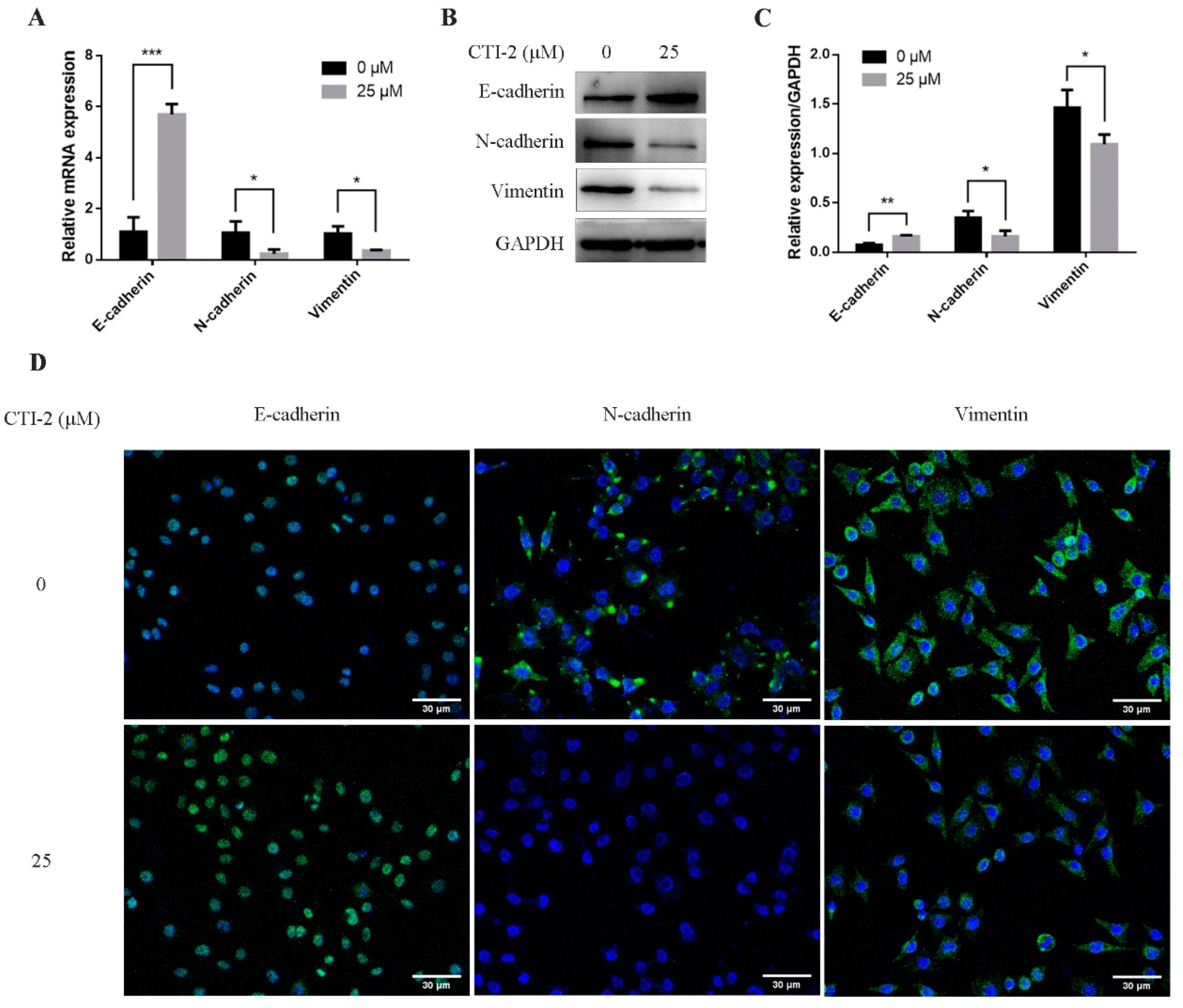 Ijms 22 12229 g003 550