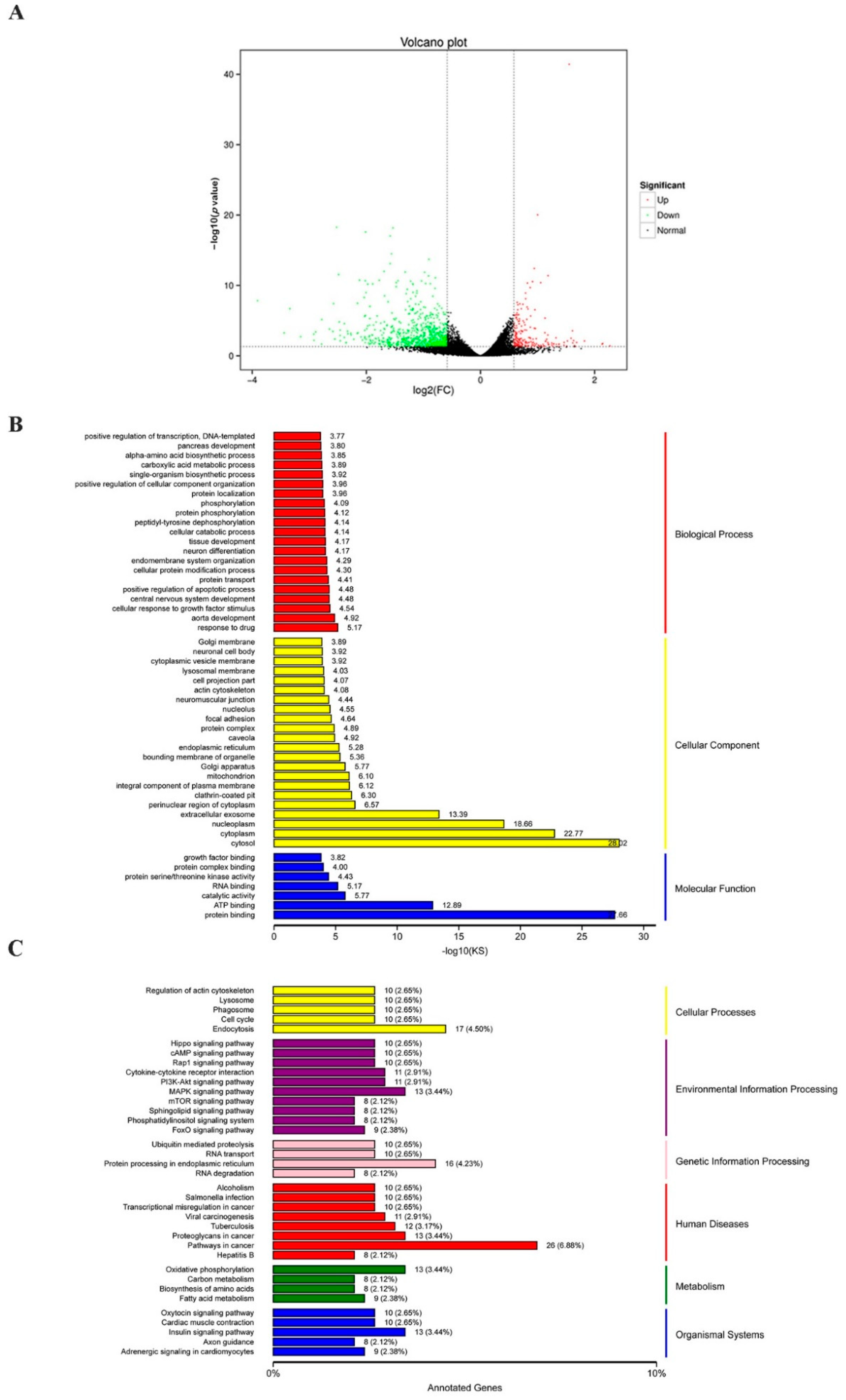 Ijms 22 12229 g004 550