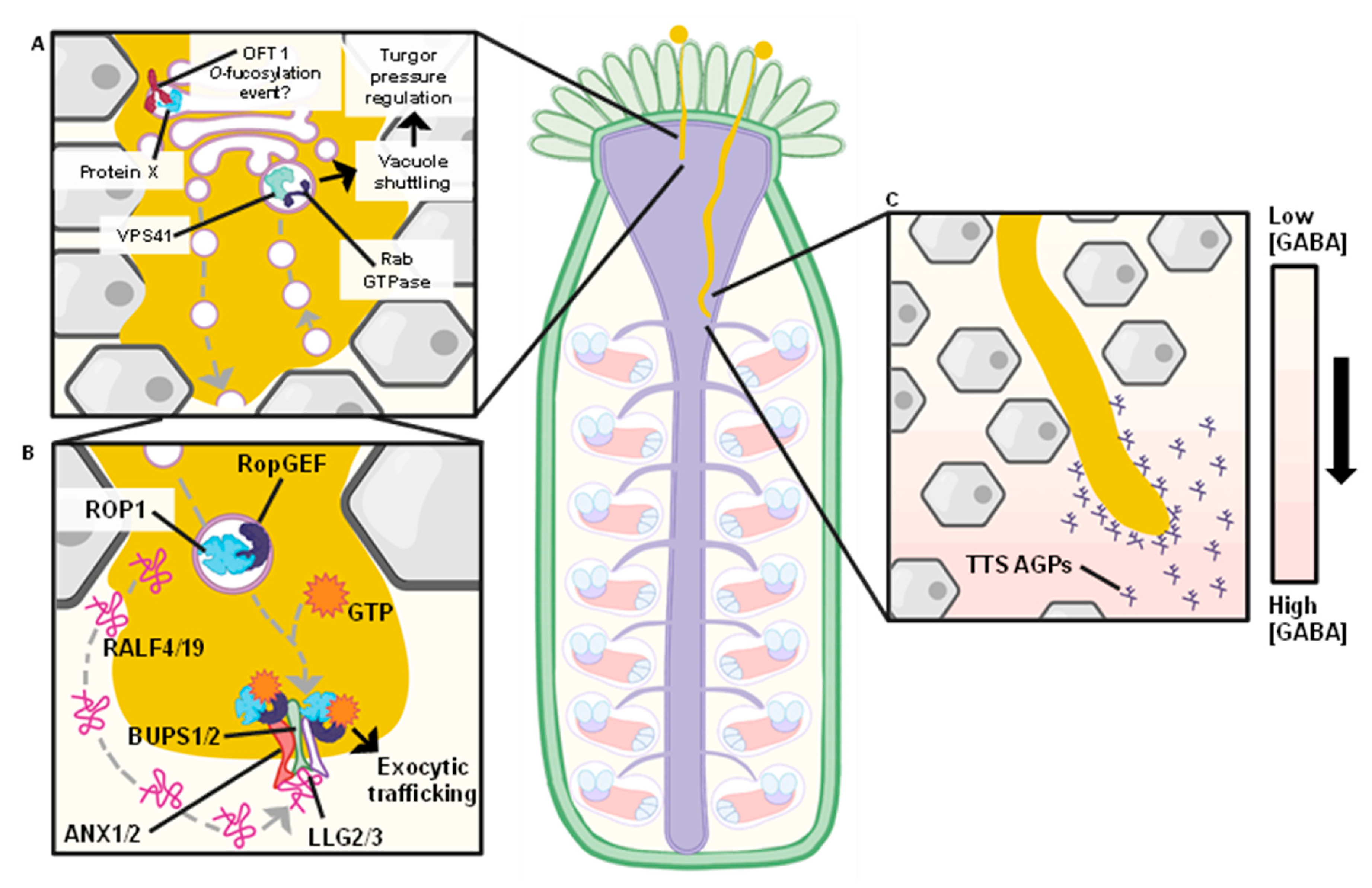 Ijms 22 12230 g002 550