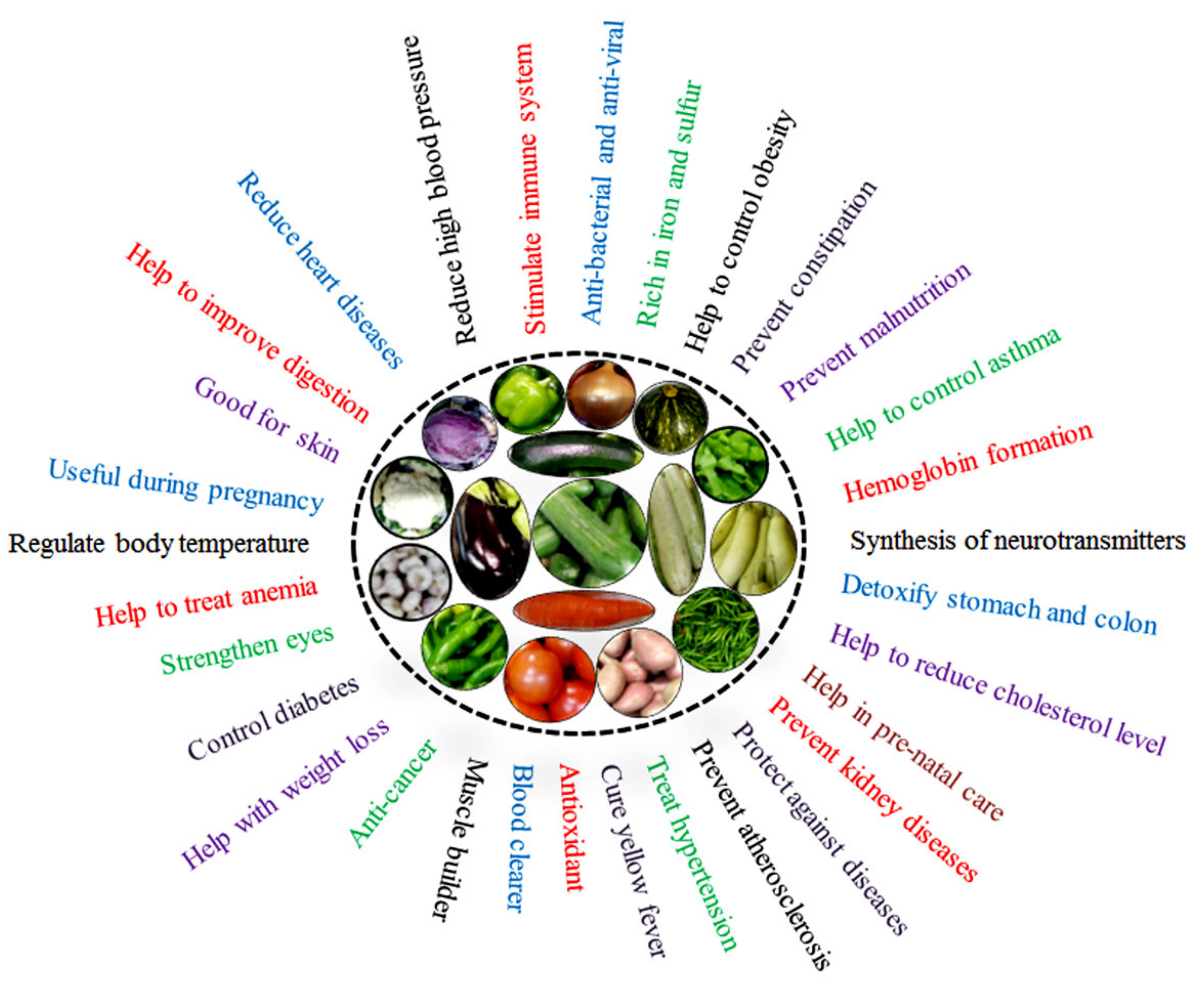 cp porn pics onion vk