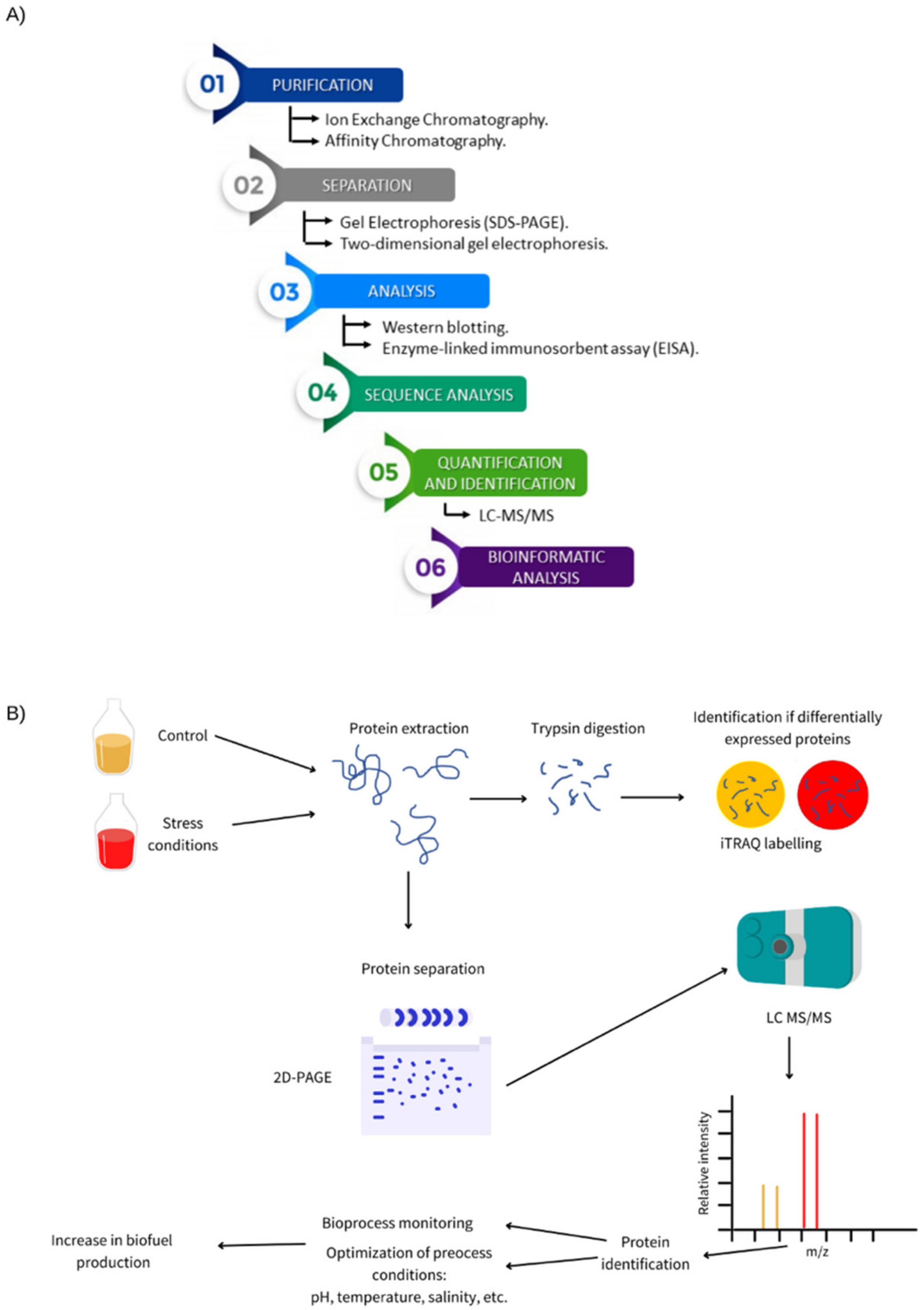 Ijms 22 12249 g001 Ijms 22 12249 g001