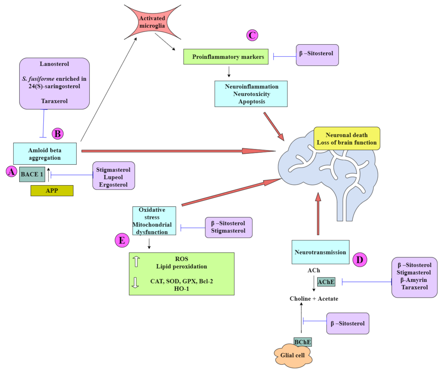 Ijms 22 12255 g005 Ijms 22 12255 g005