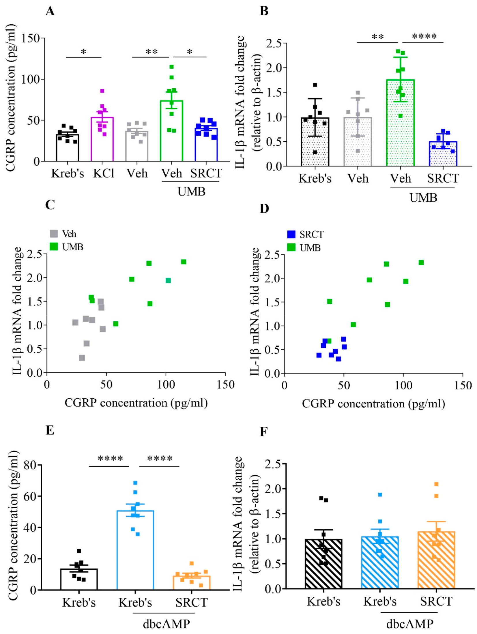 Ijms 22 12273 g004 550