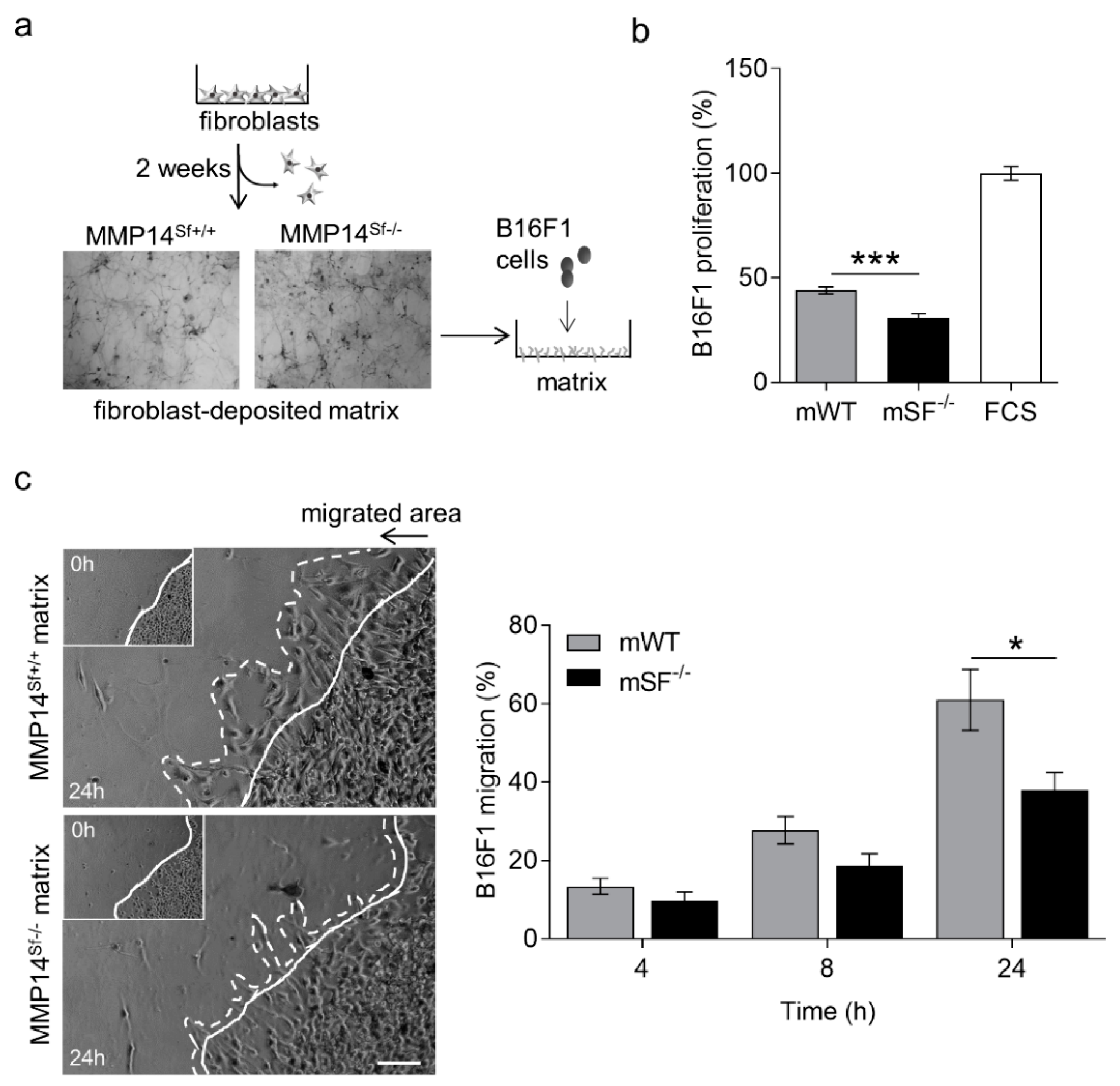 Ijms 22 12276 g001 Ijms 22 12276 g001