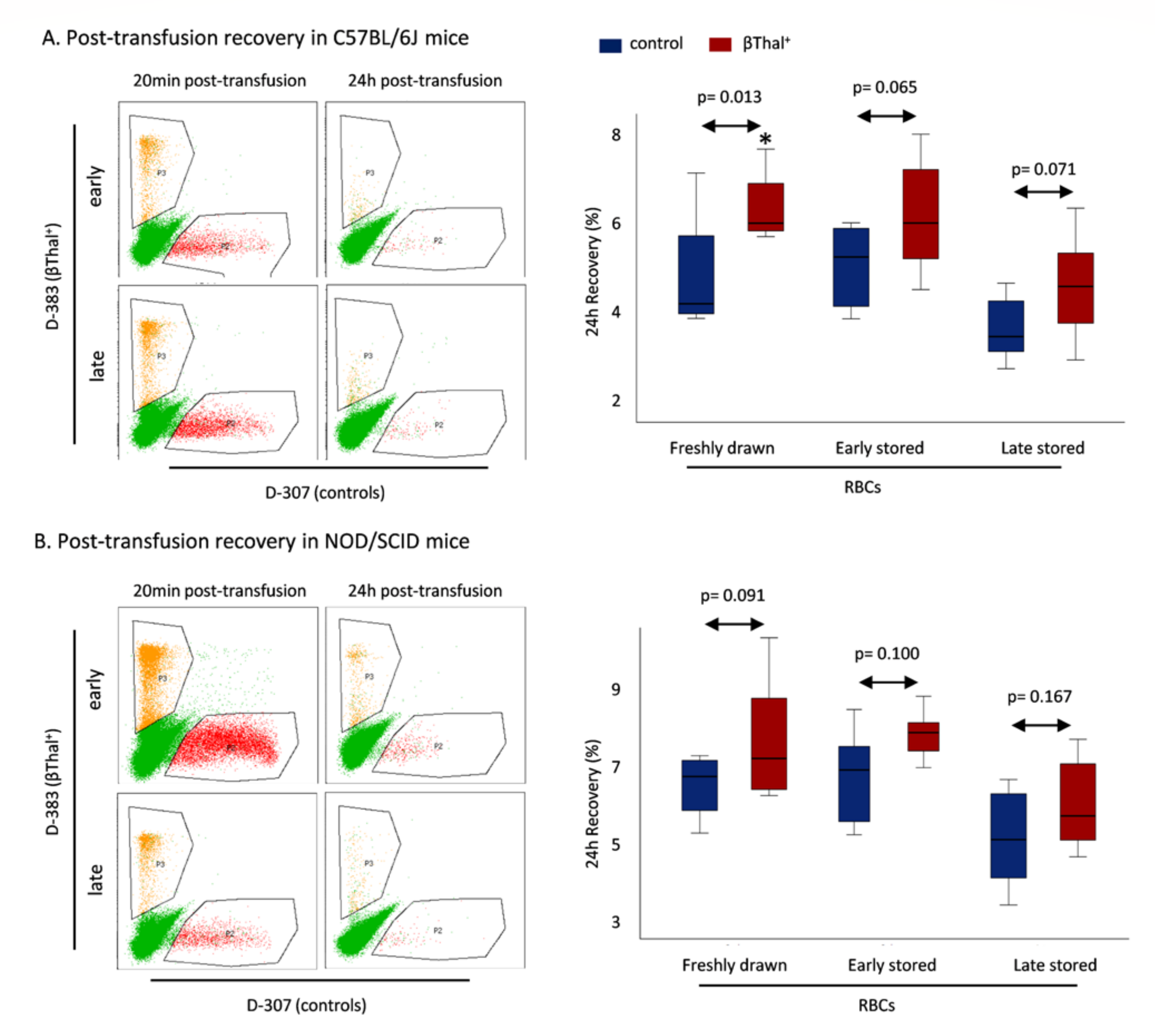 Ijms 22 12281 g006 550