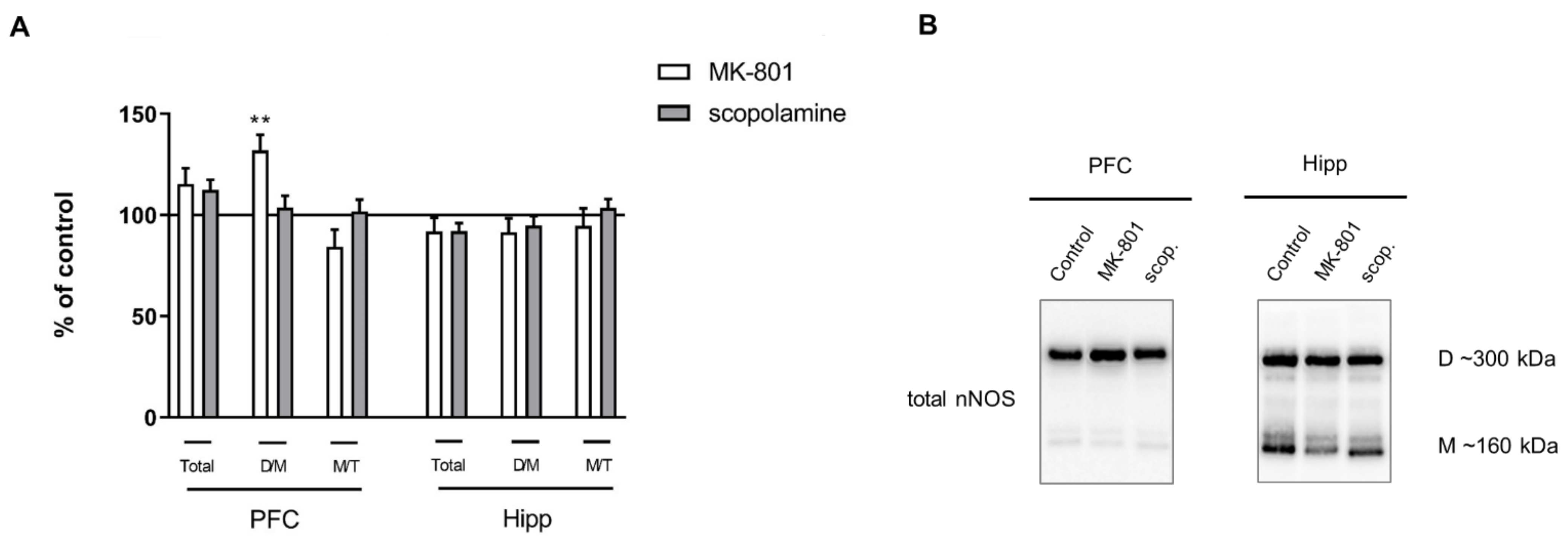 Ijms 22 12282 g004 Ijms 22 12282 g004