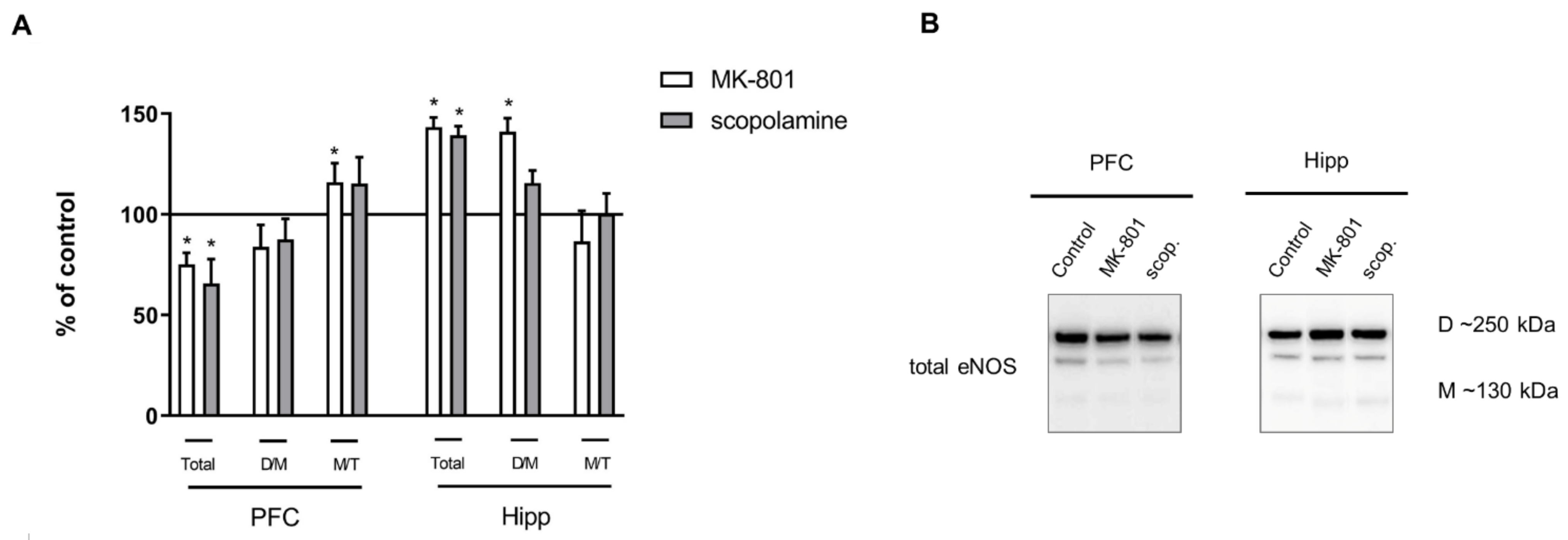 Ijms 22 12282 g005 Ijms 22 12282 g005