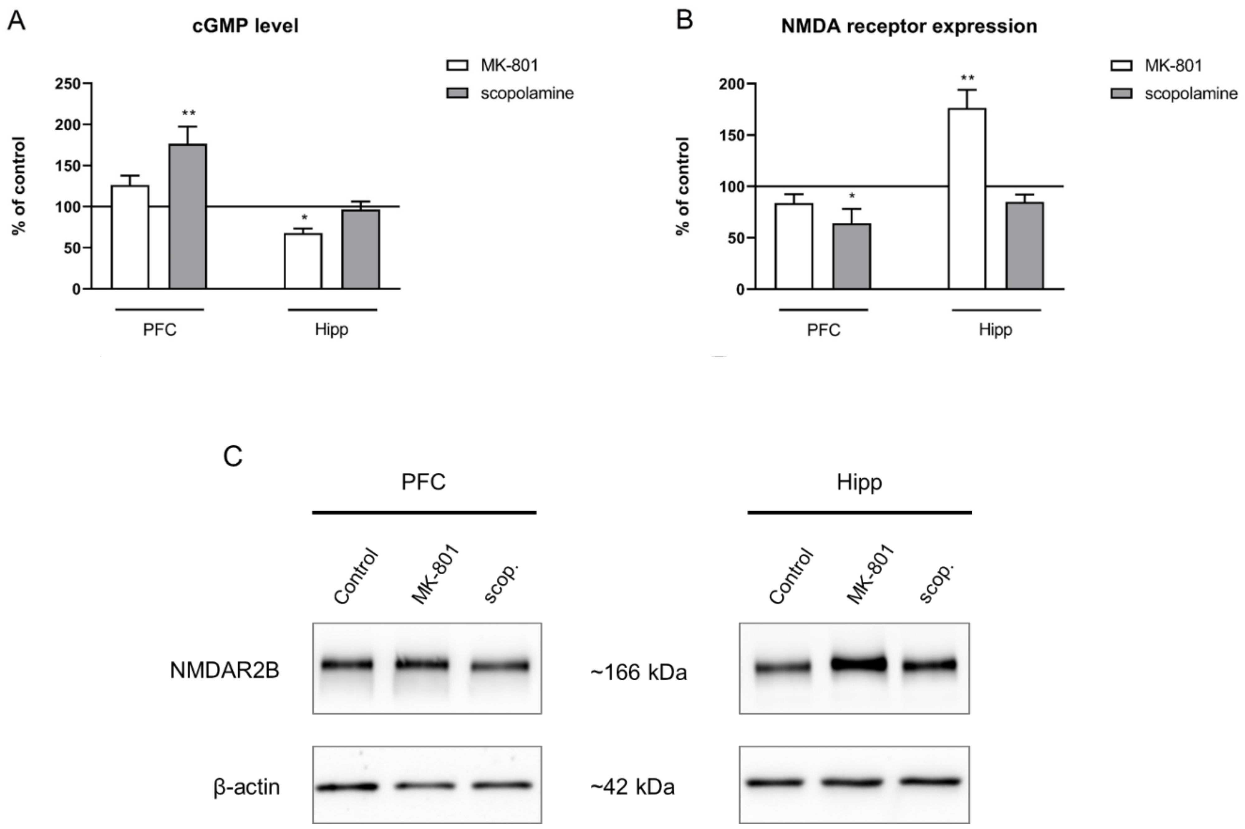 Ijms 22 12282 g007 Ijms 22 12282 g007