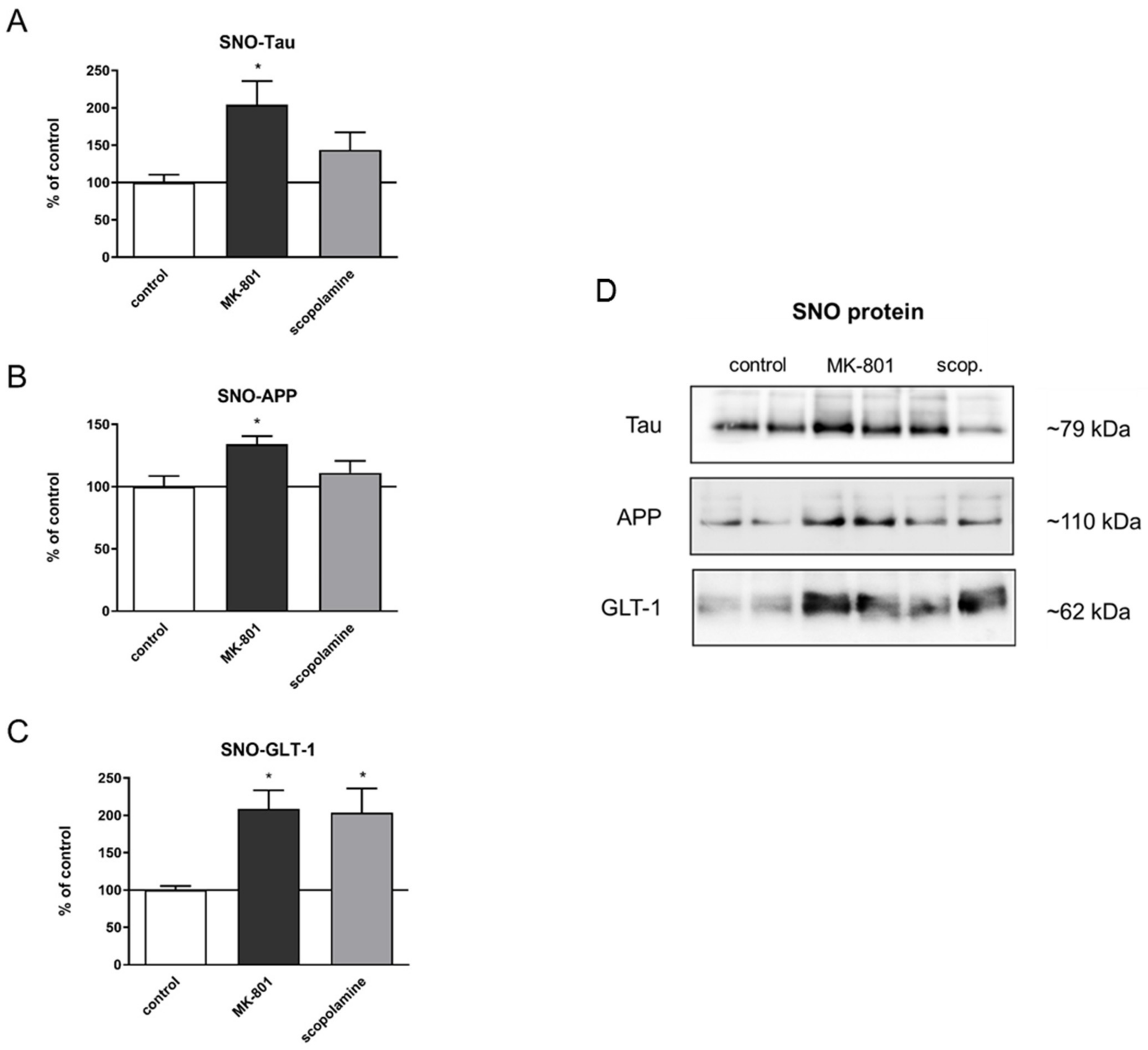 Ijms 22 12282 g021 Ijms 22 12282 g021