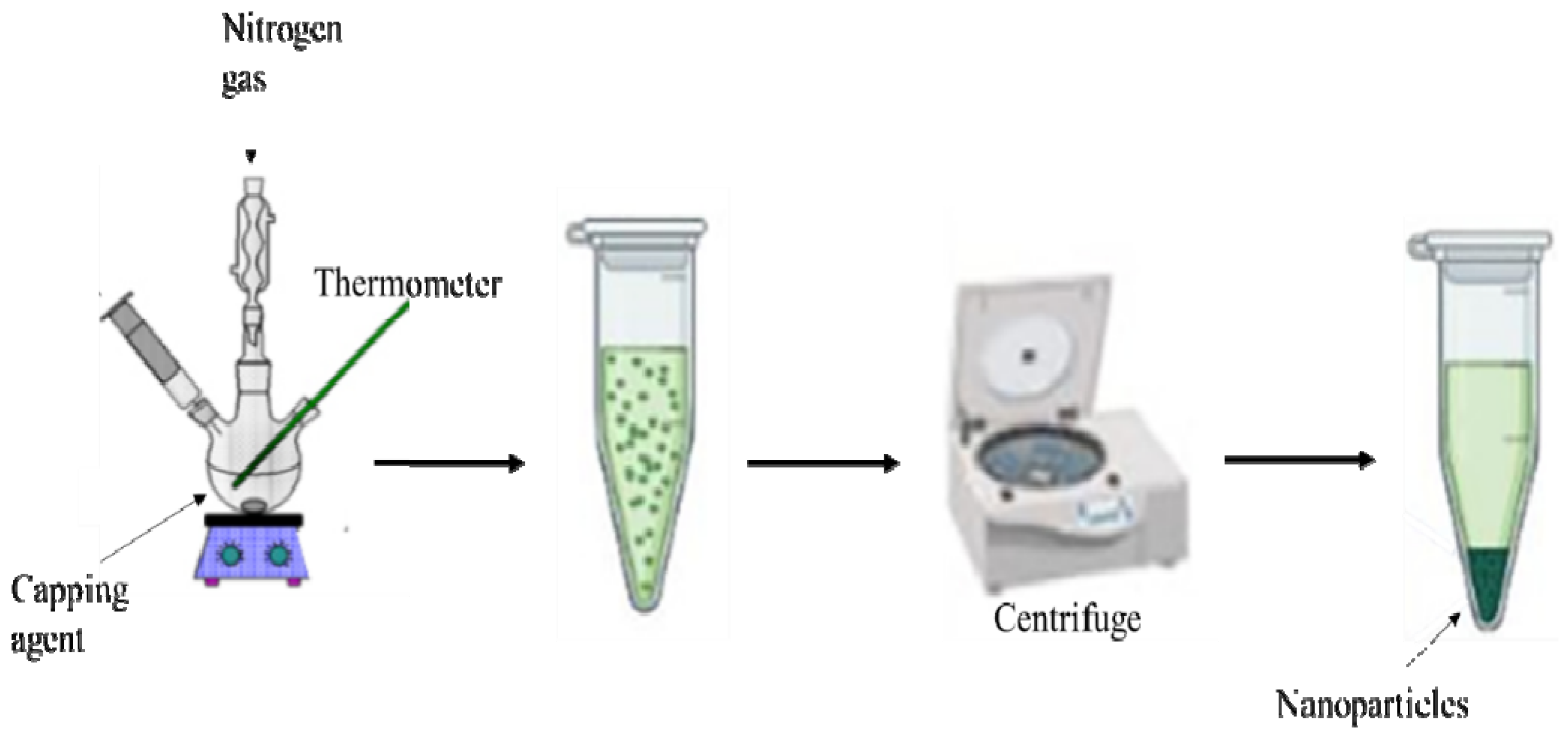 Ijms 22 12294 sch001