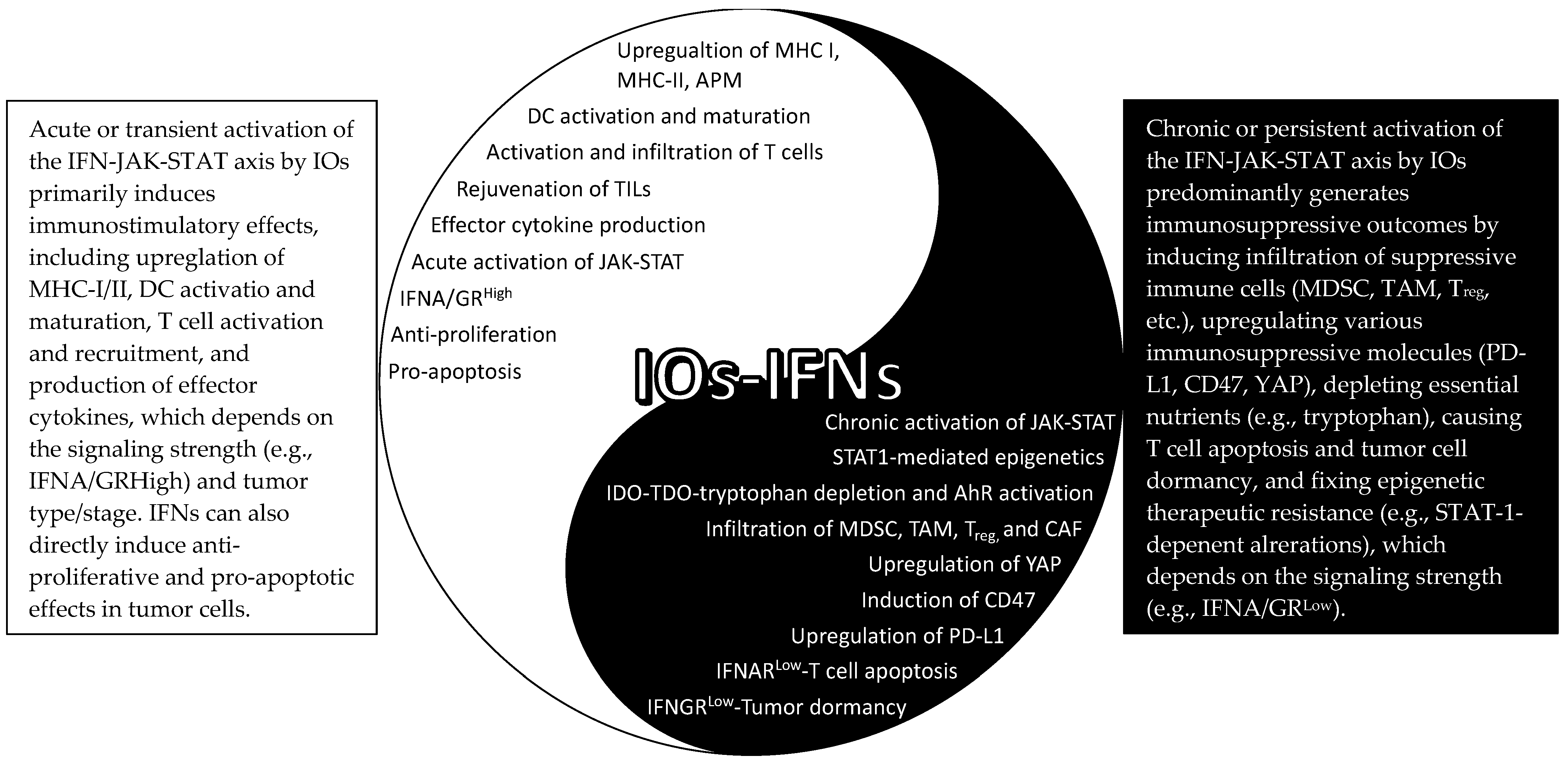 Ijms 22 12295 g002