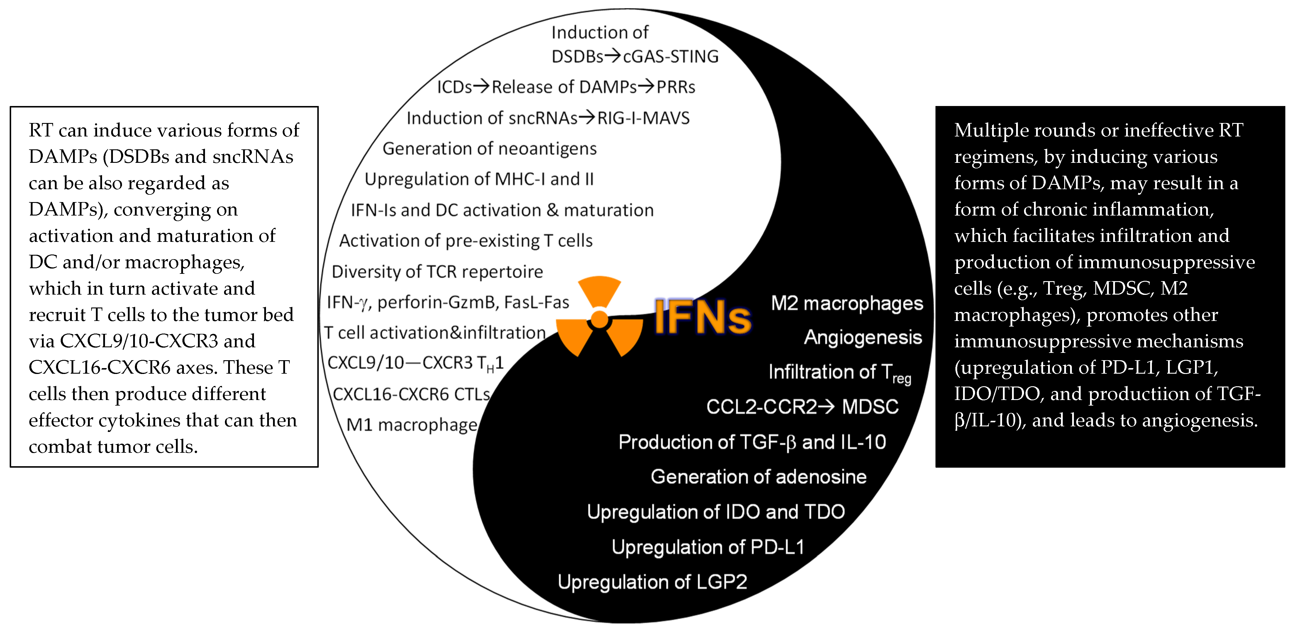 Ijms 22 12295 g003