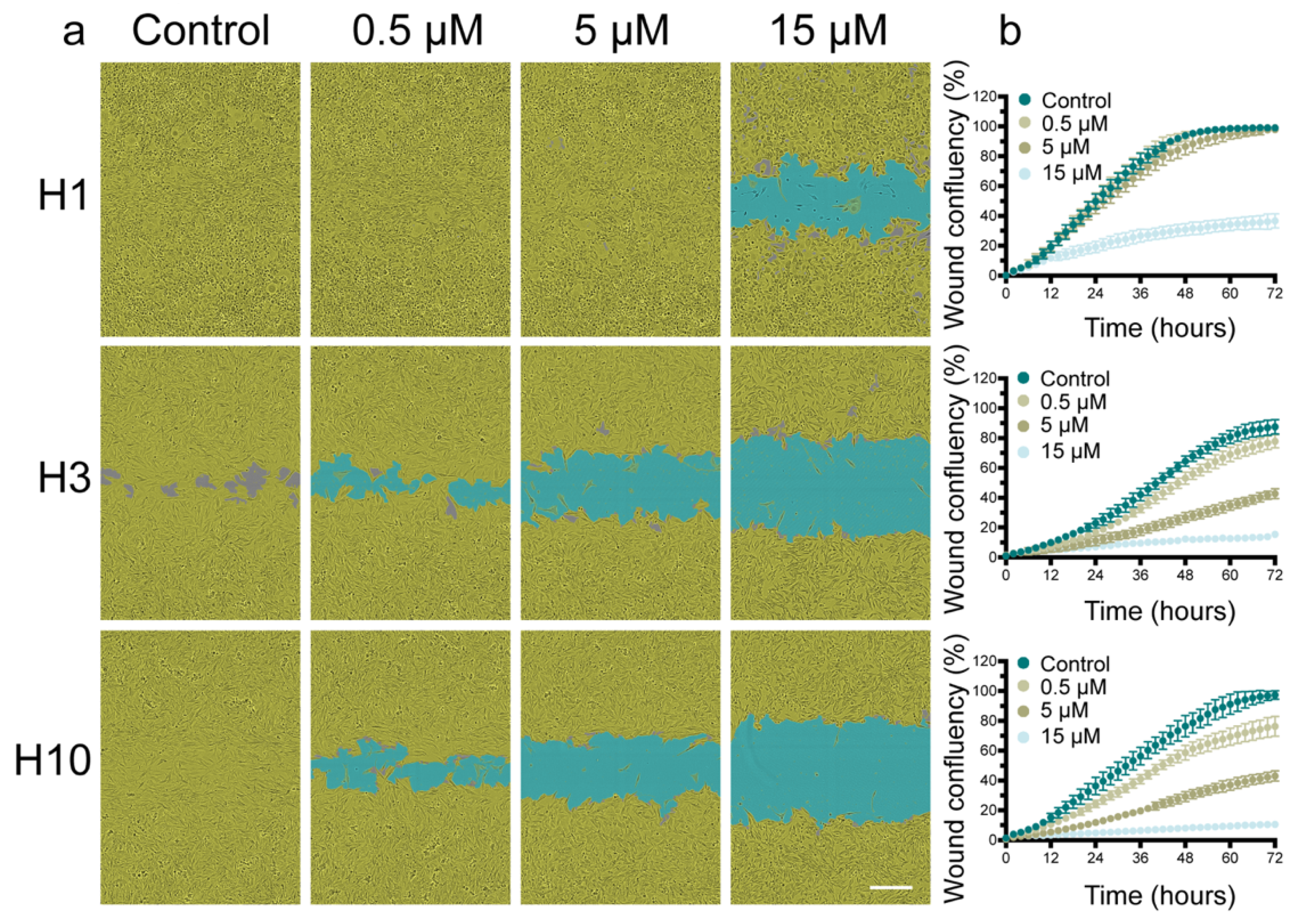 Ijms 22 12296 g003 Ijms 22 12296 g003