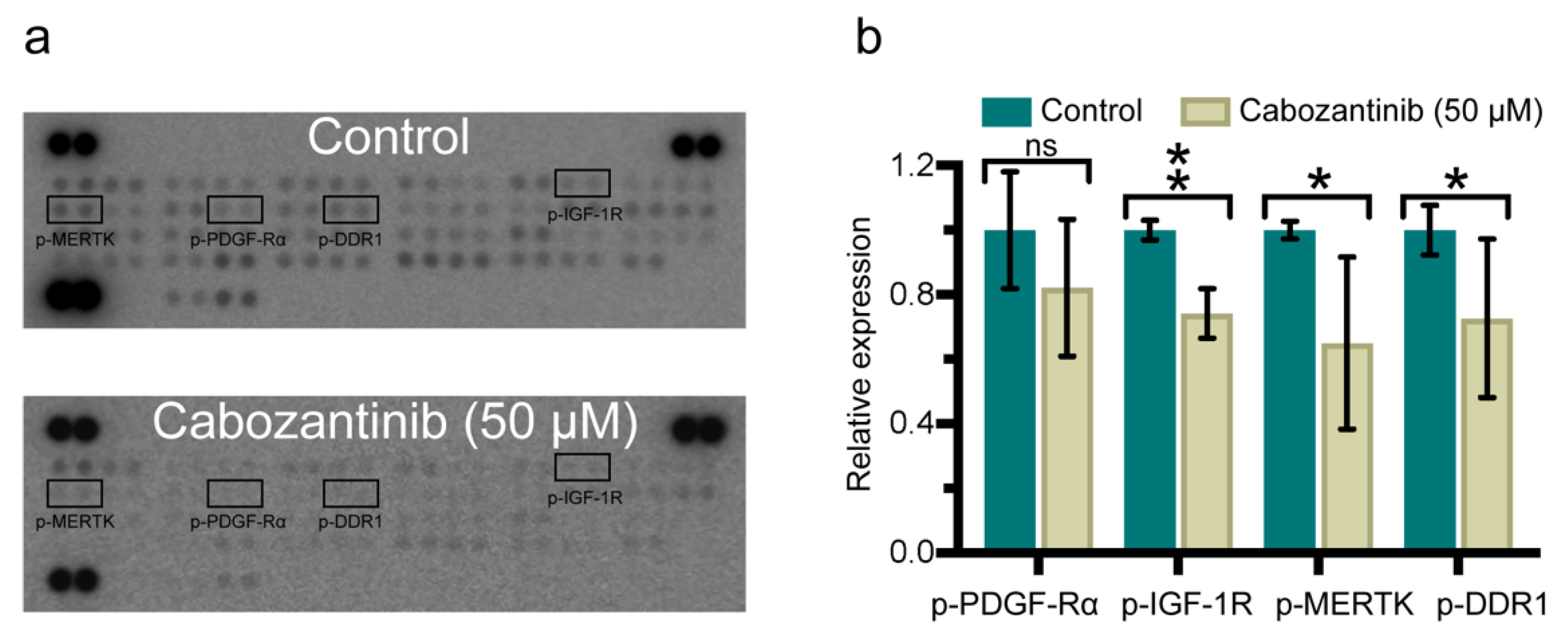 Ijms 22 12296 g005 Ijms 22 12296 g005