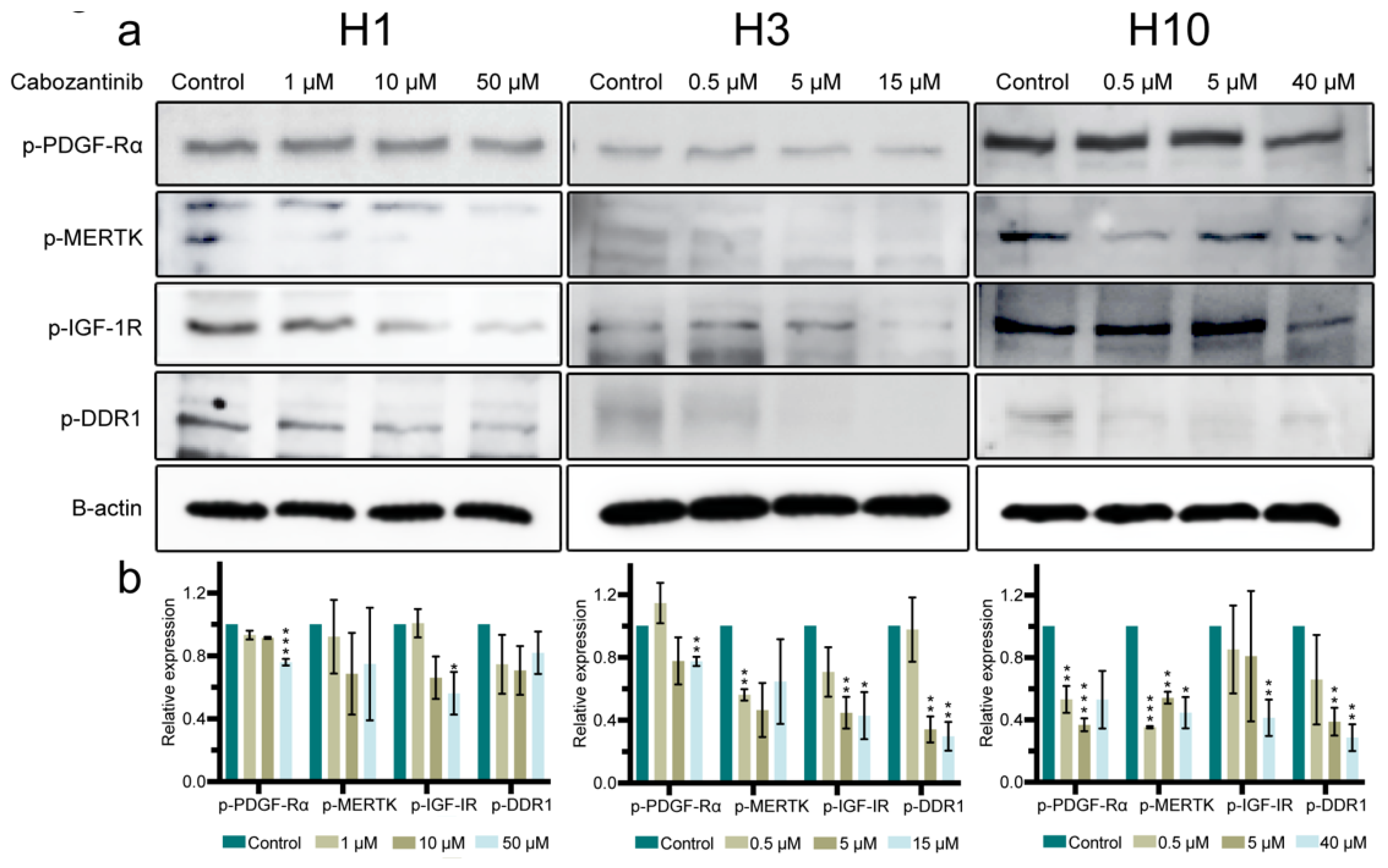 Ijms 22 12296 g006 Ijms 22 12296 g006