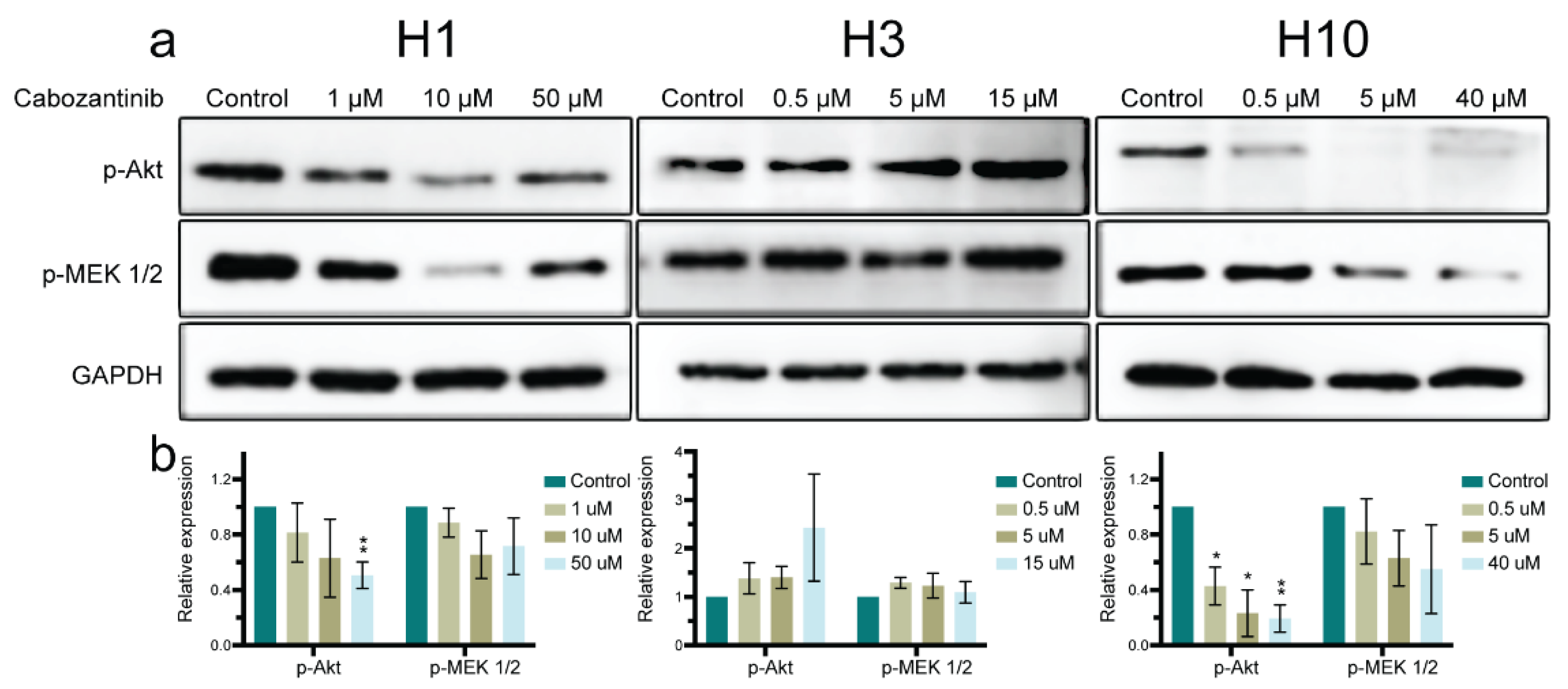 Ijms 22 12296 g007 Ijms 22 12296 g007