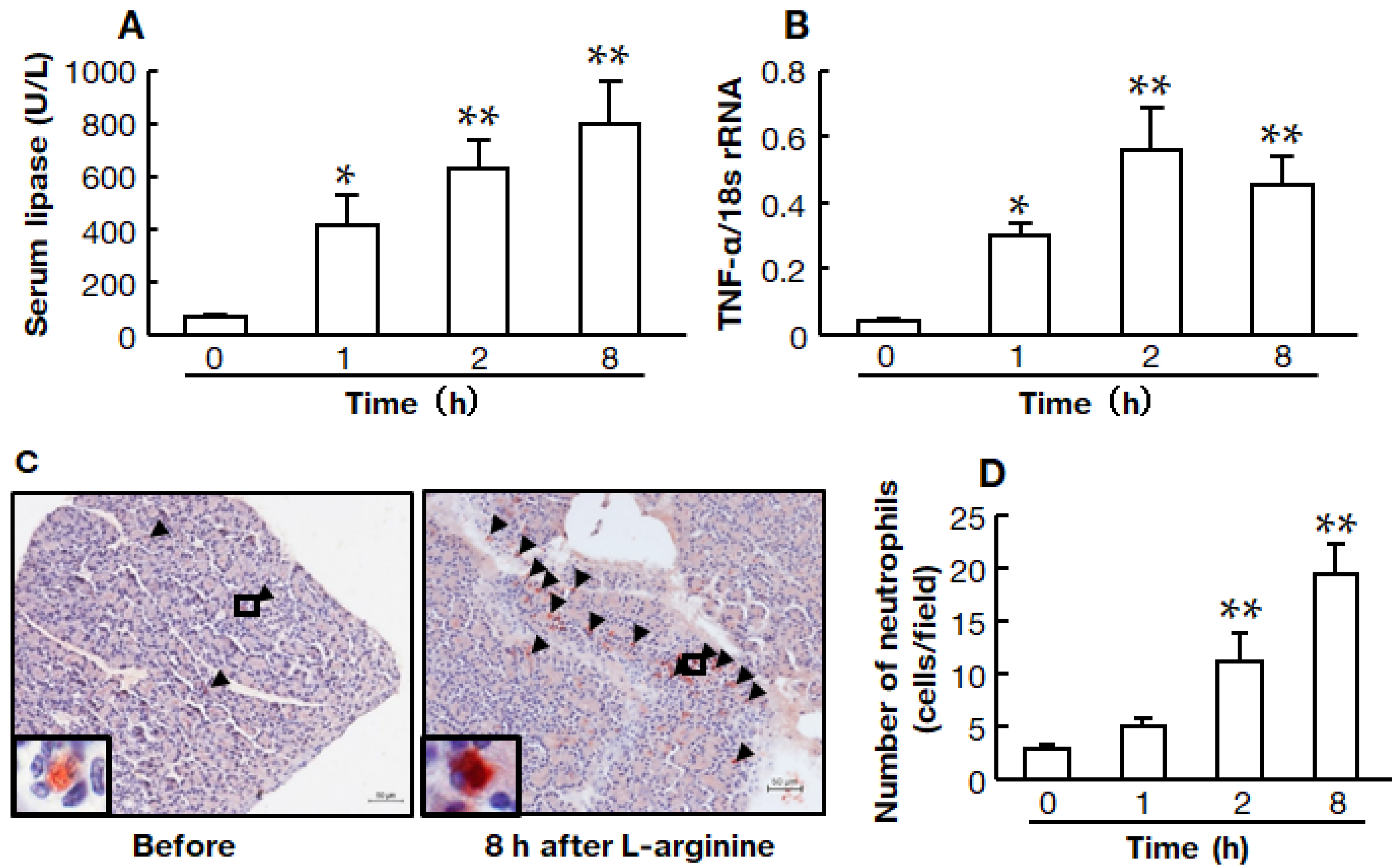 Ijms 22 12313 g002 550