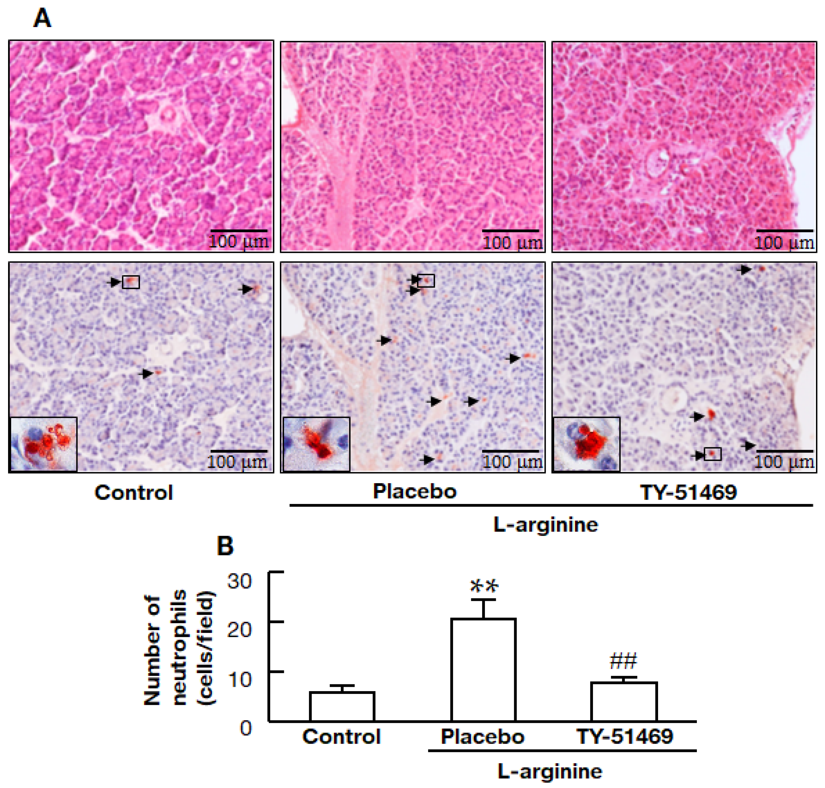 Ijms 22 12313 g004 550