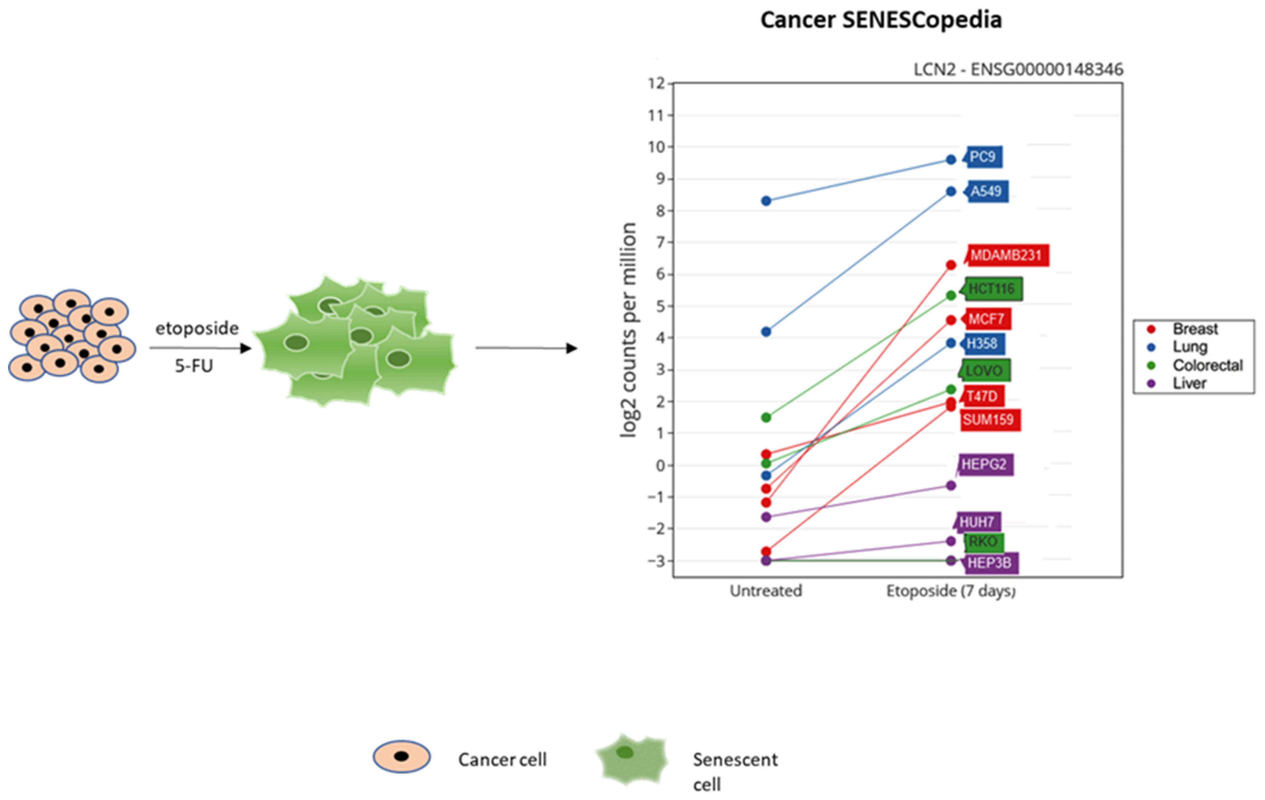 Ijms 22 12333 g002 550