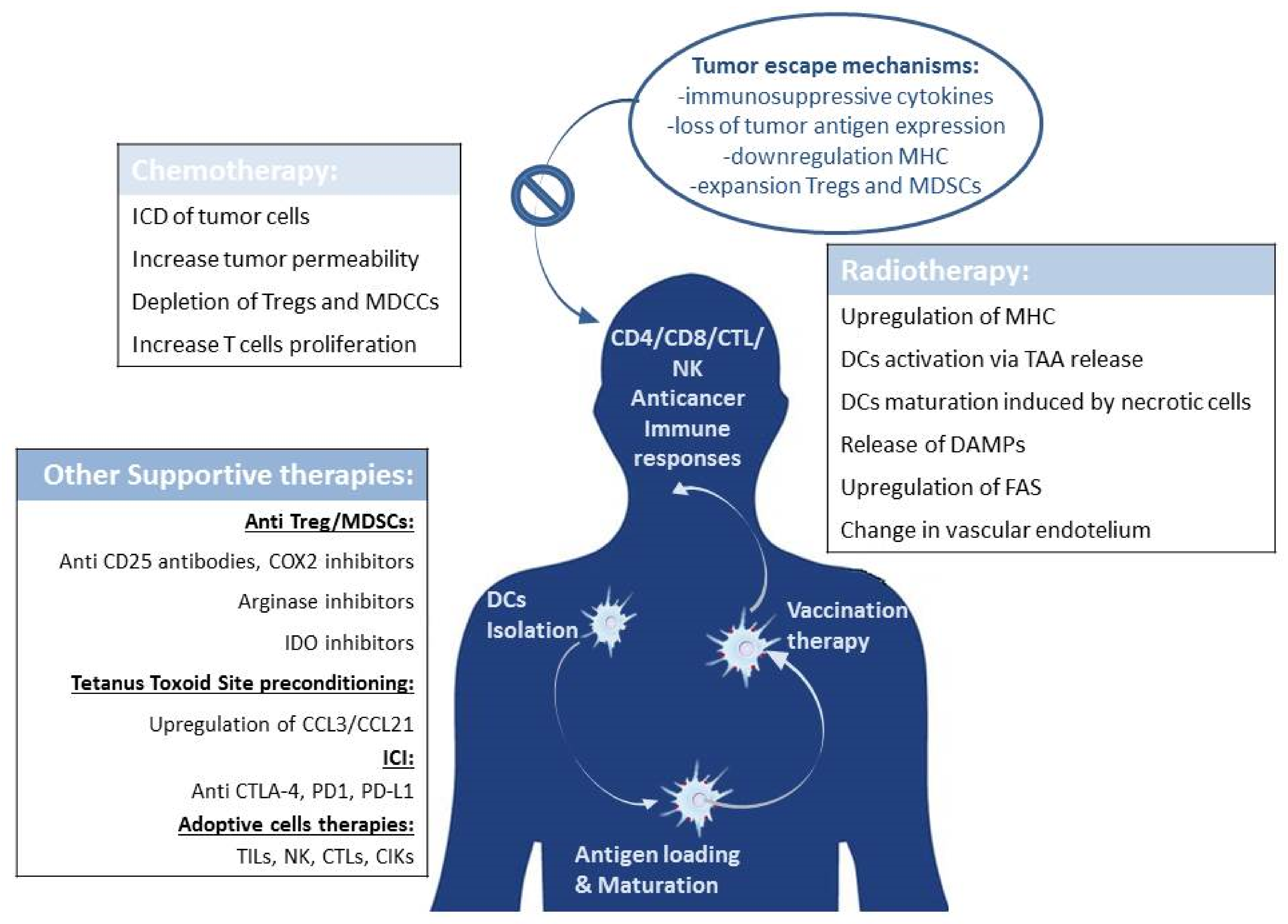 Ijms 22 12339 g001 Ijms 22 12339 g001