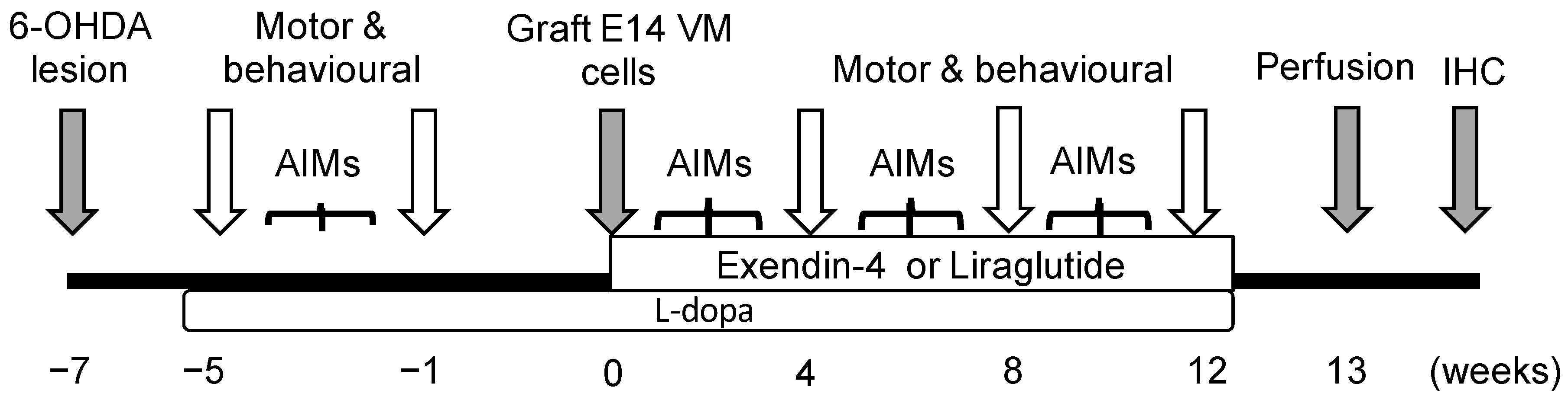 Ijms 22 12346 g001