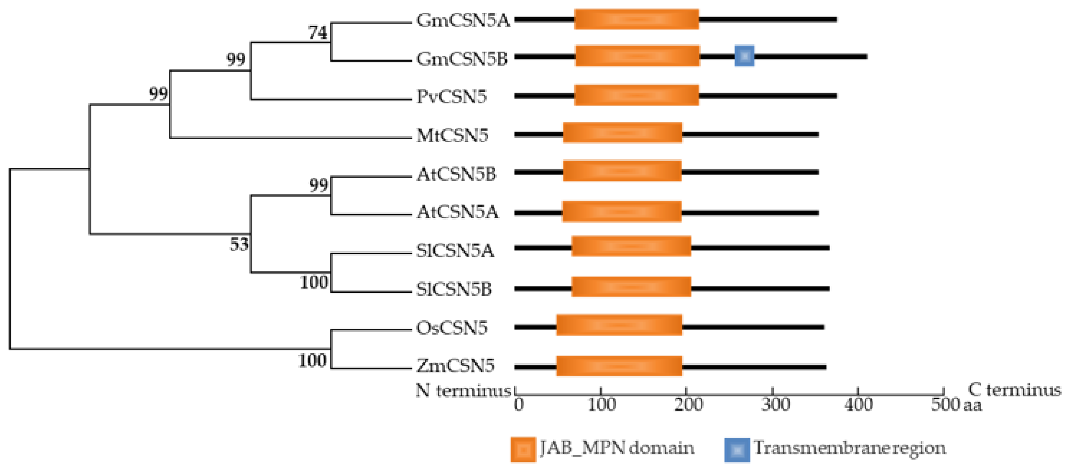 Ijms 22 12348 g003 550