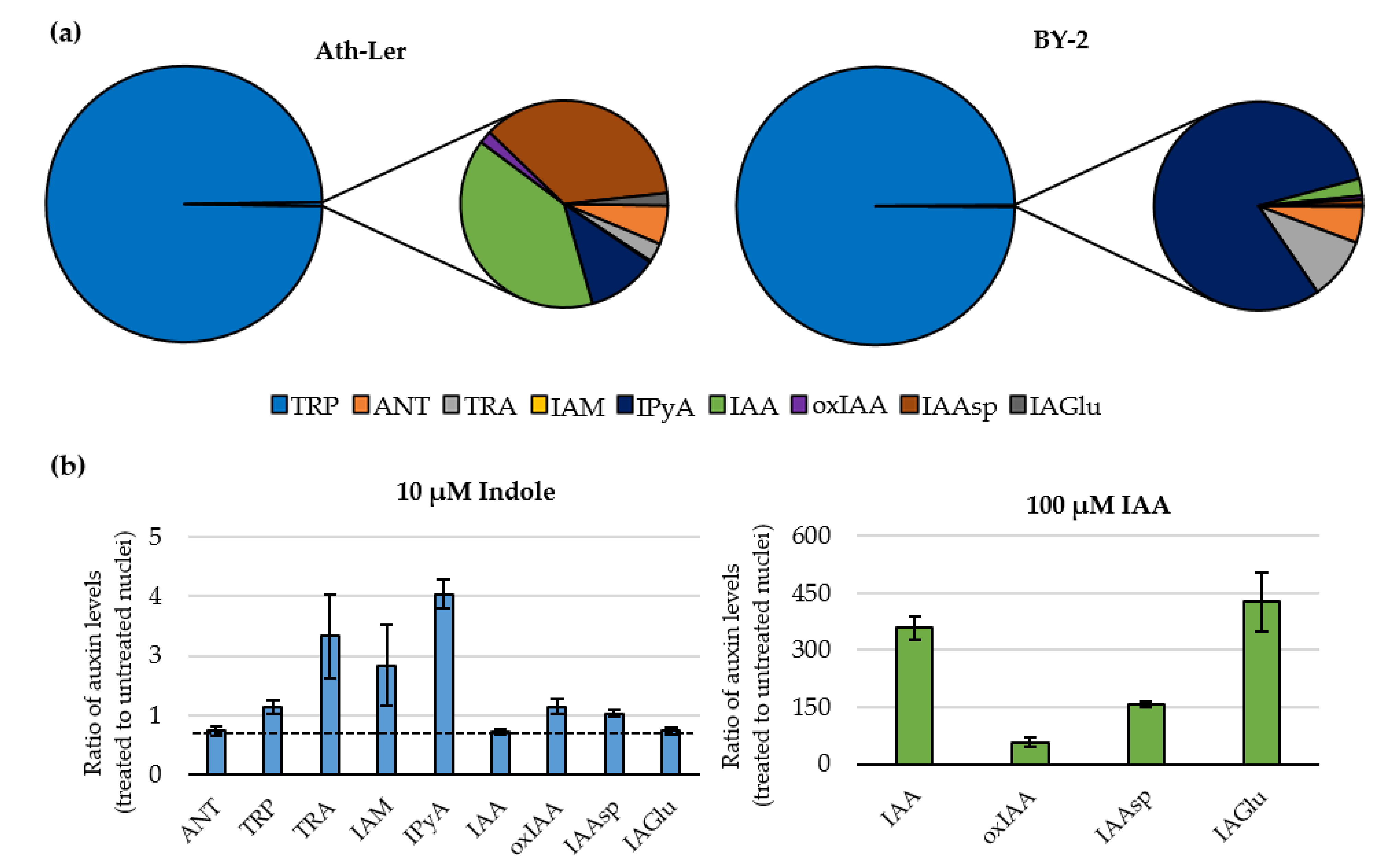 Ijms 22 12369 g004 550
