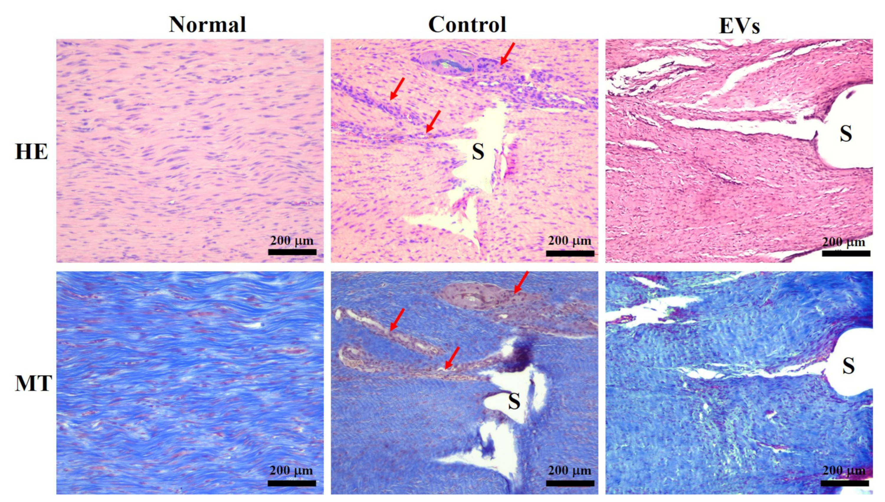 Ijms 22 12373 g005 550