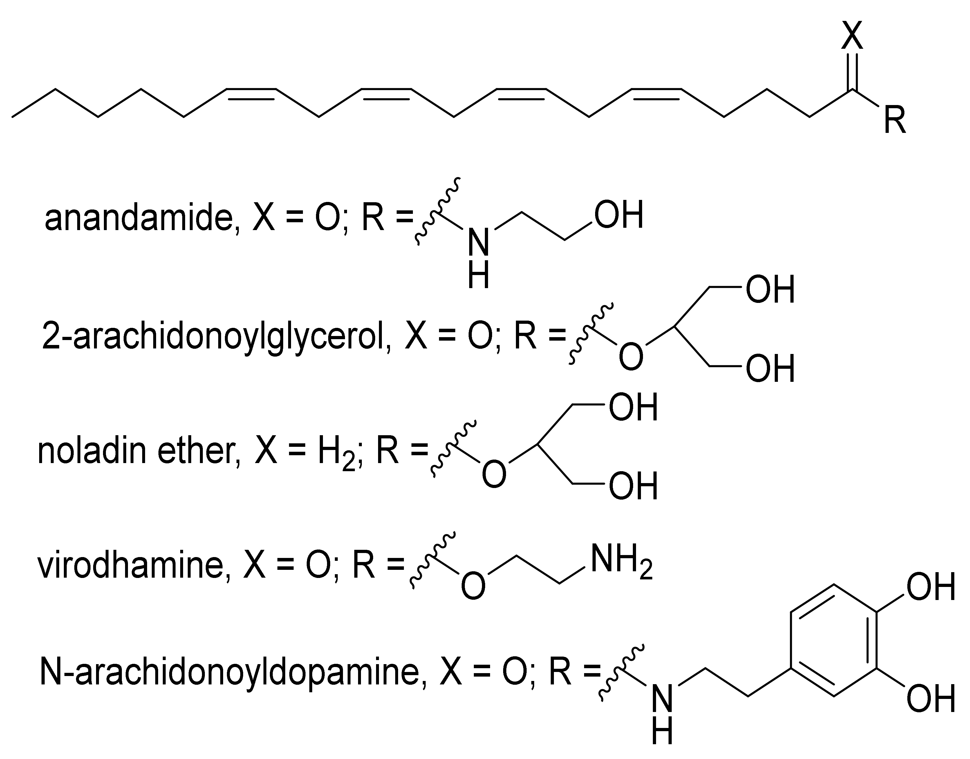 Ijms 22 12374 g002 Ijms 22 12374 g002