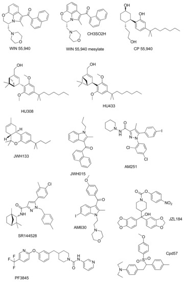 The Role of Cannabinoids in Bone Metabolism: A New