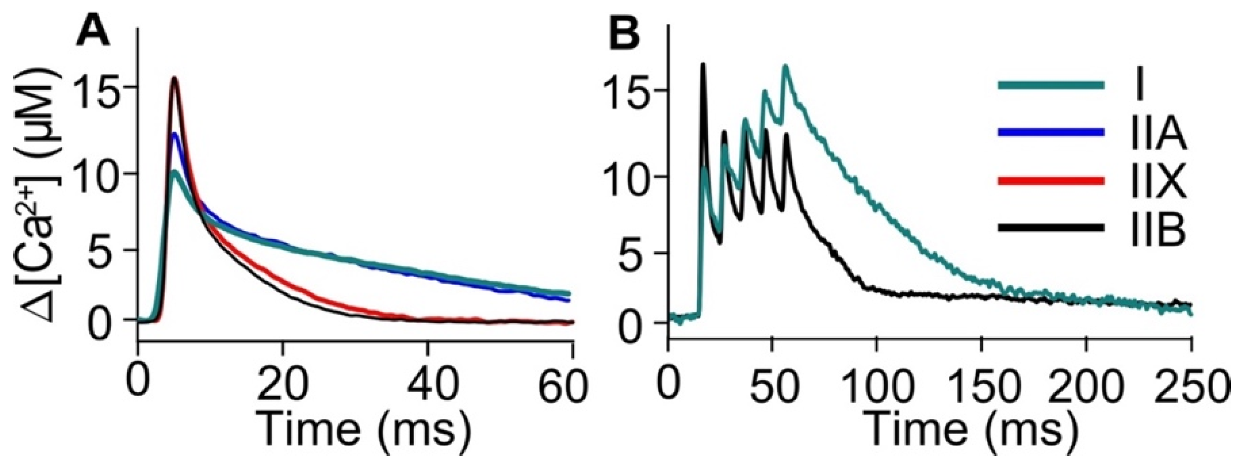 Ijms 22 12378 g001 550
