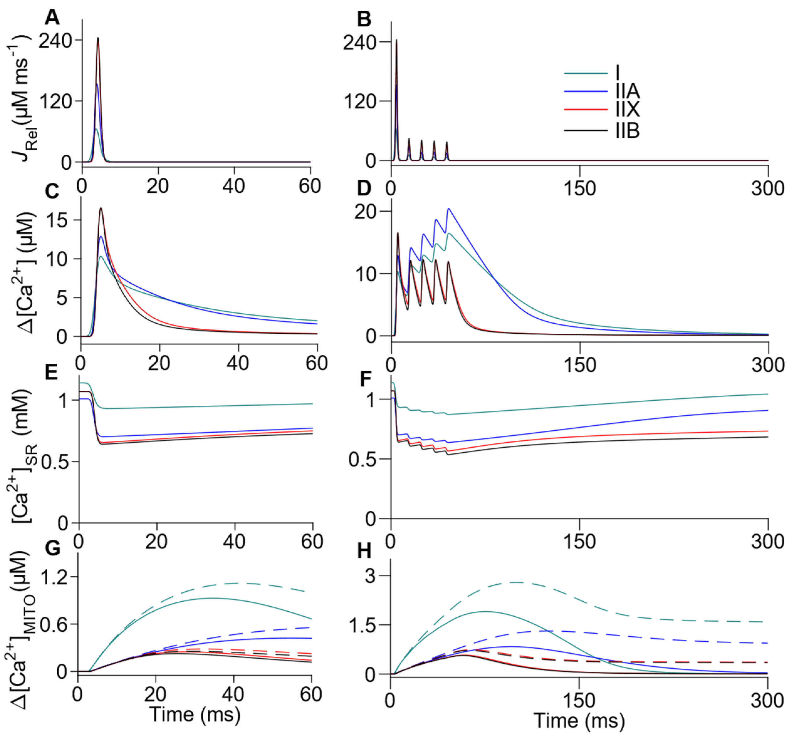 Ijms 22 12378 g002 550