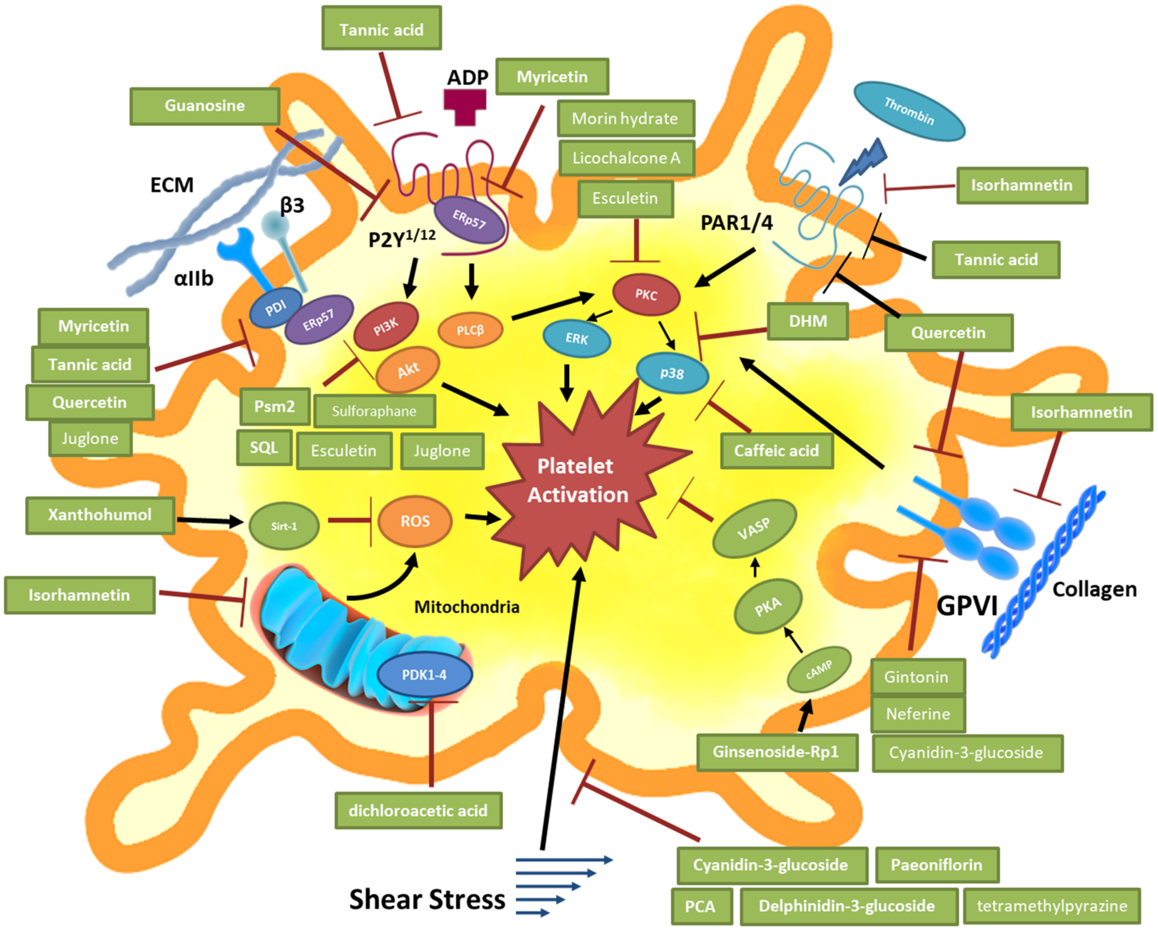 Ijms 22 12380 g001 550