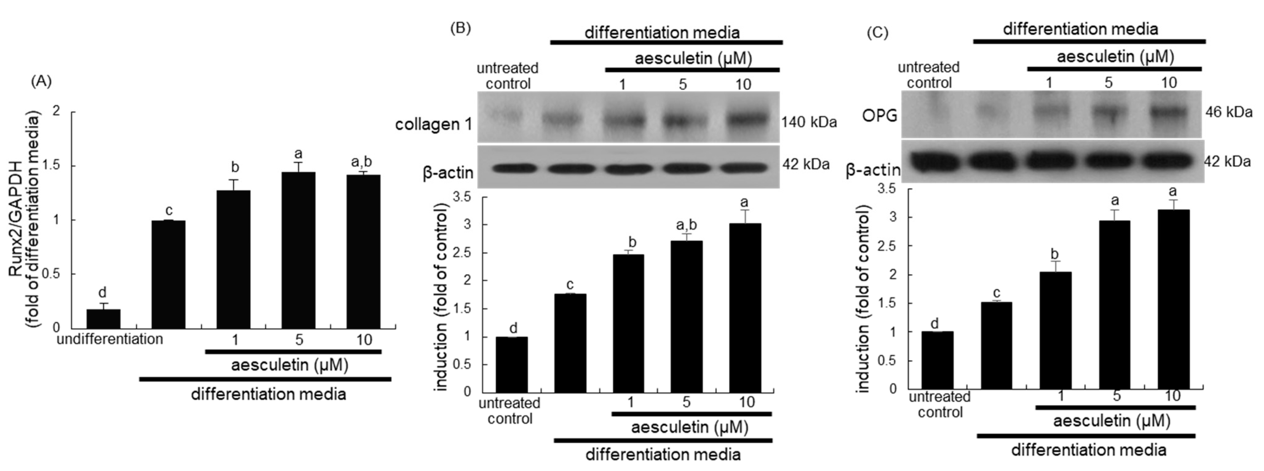 Ijms 22 12391 g002 550