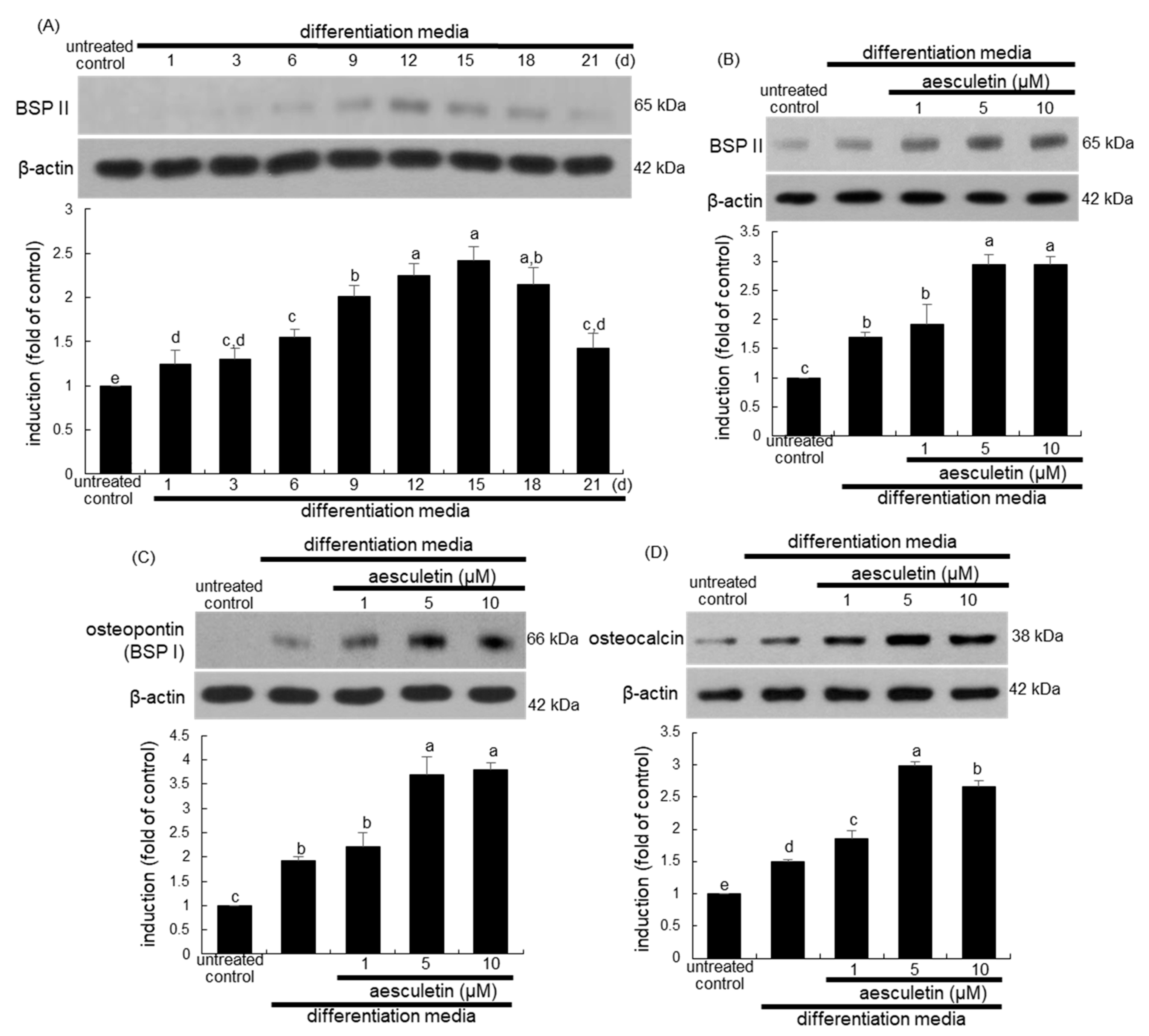 Ijms 22 12391 g003 550