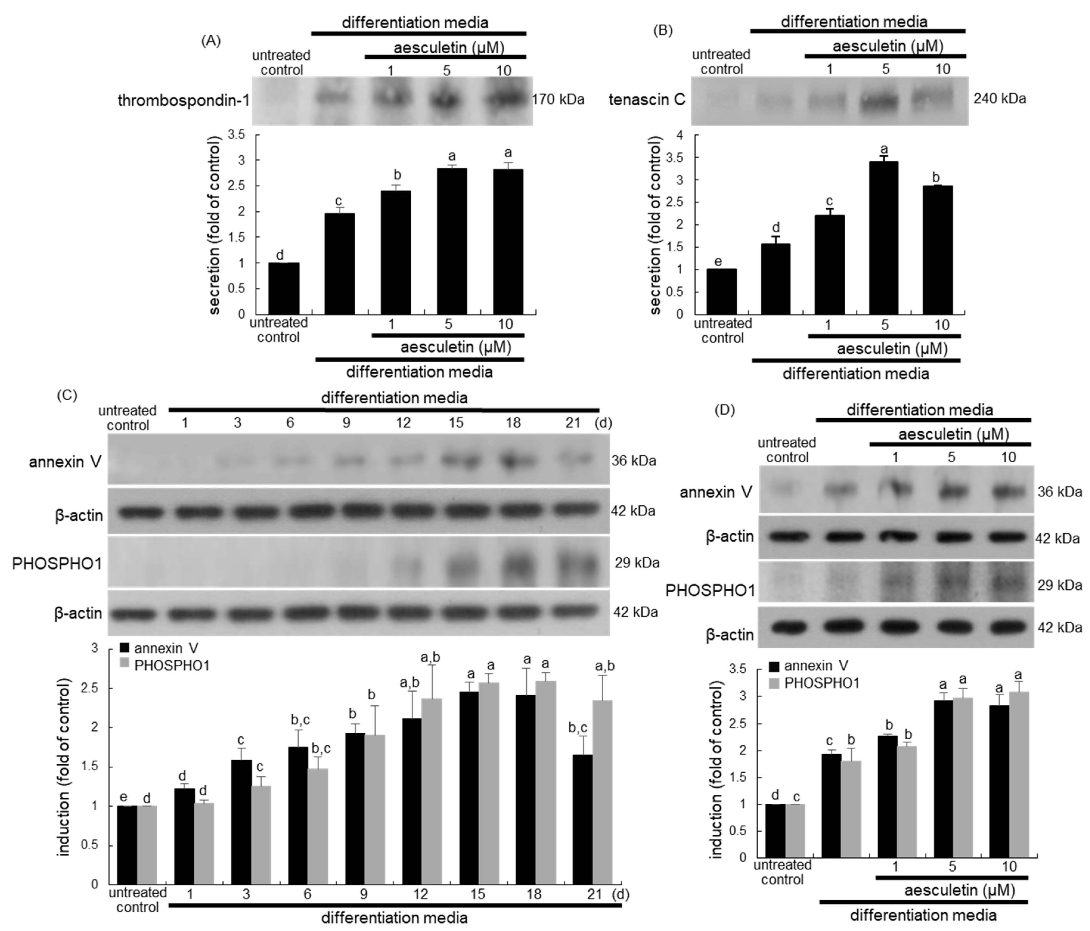 Ijms 22 12391 g005 550
