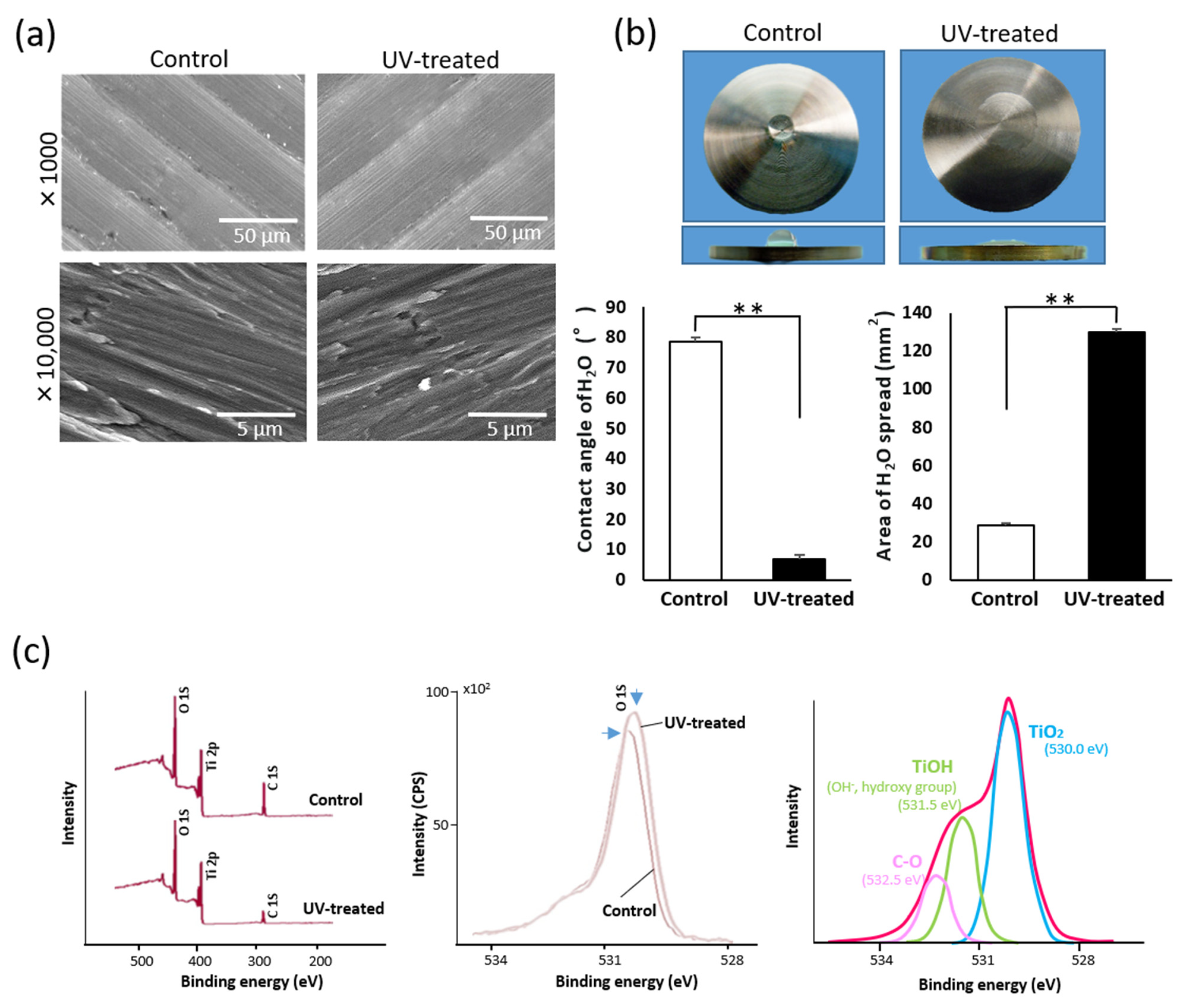 Ijms 22 12396 g001 550