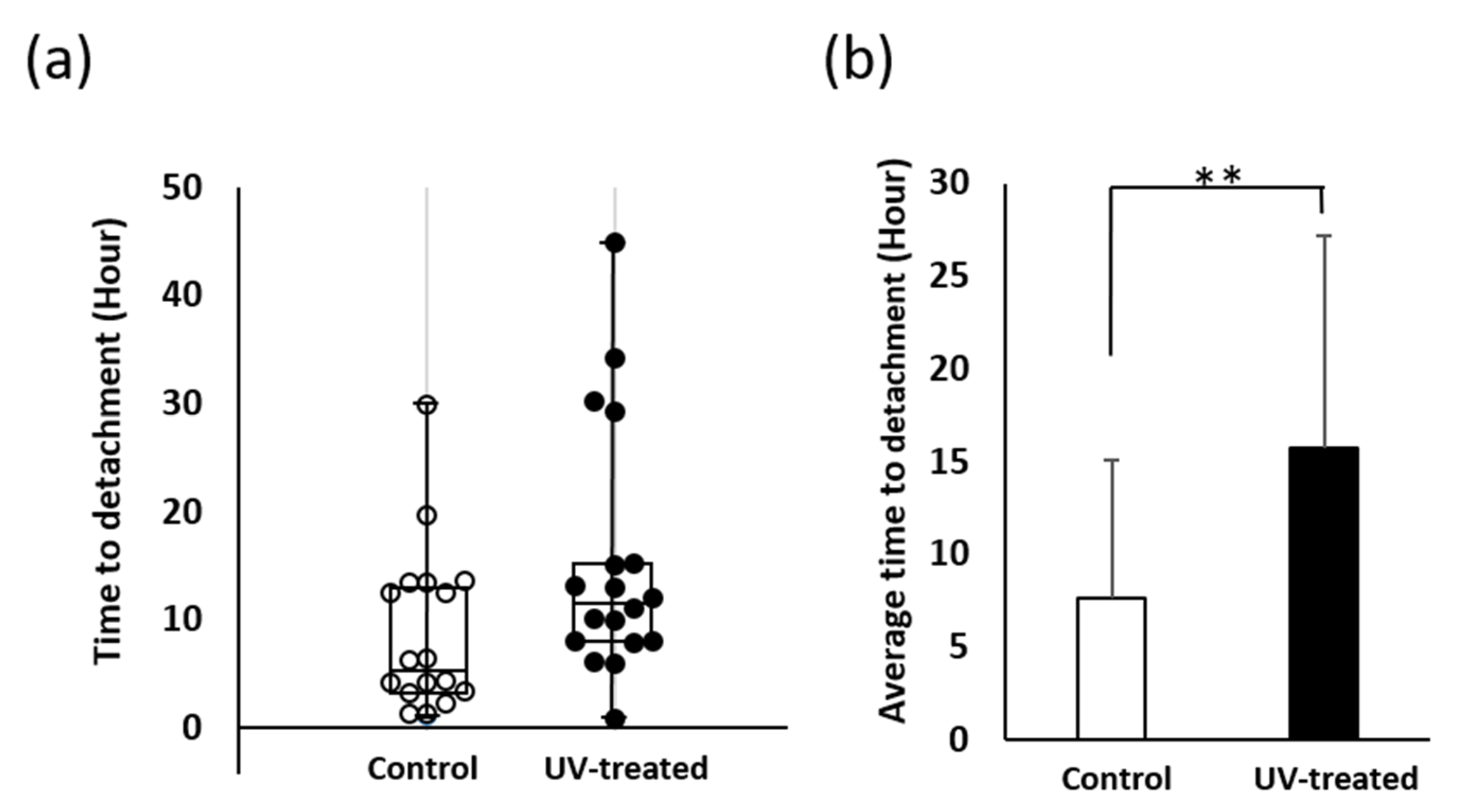 Ijms 22 12396 g002 550