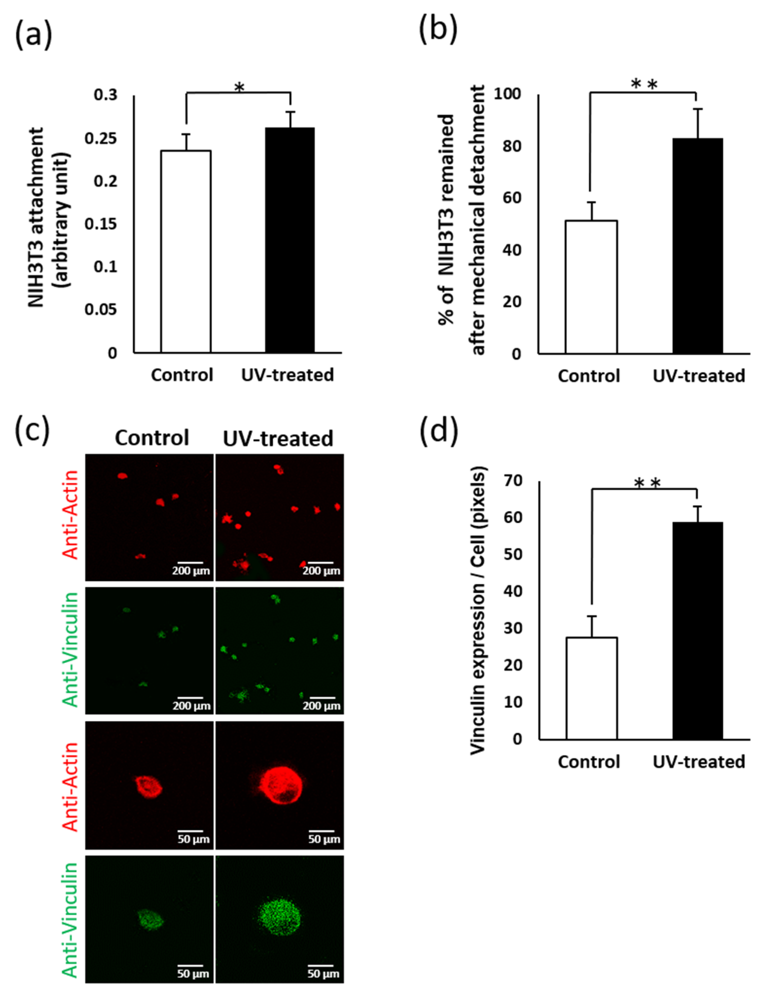 Ijms 22 12396 g007 550