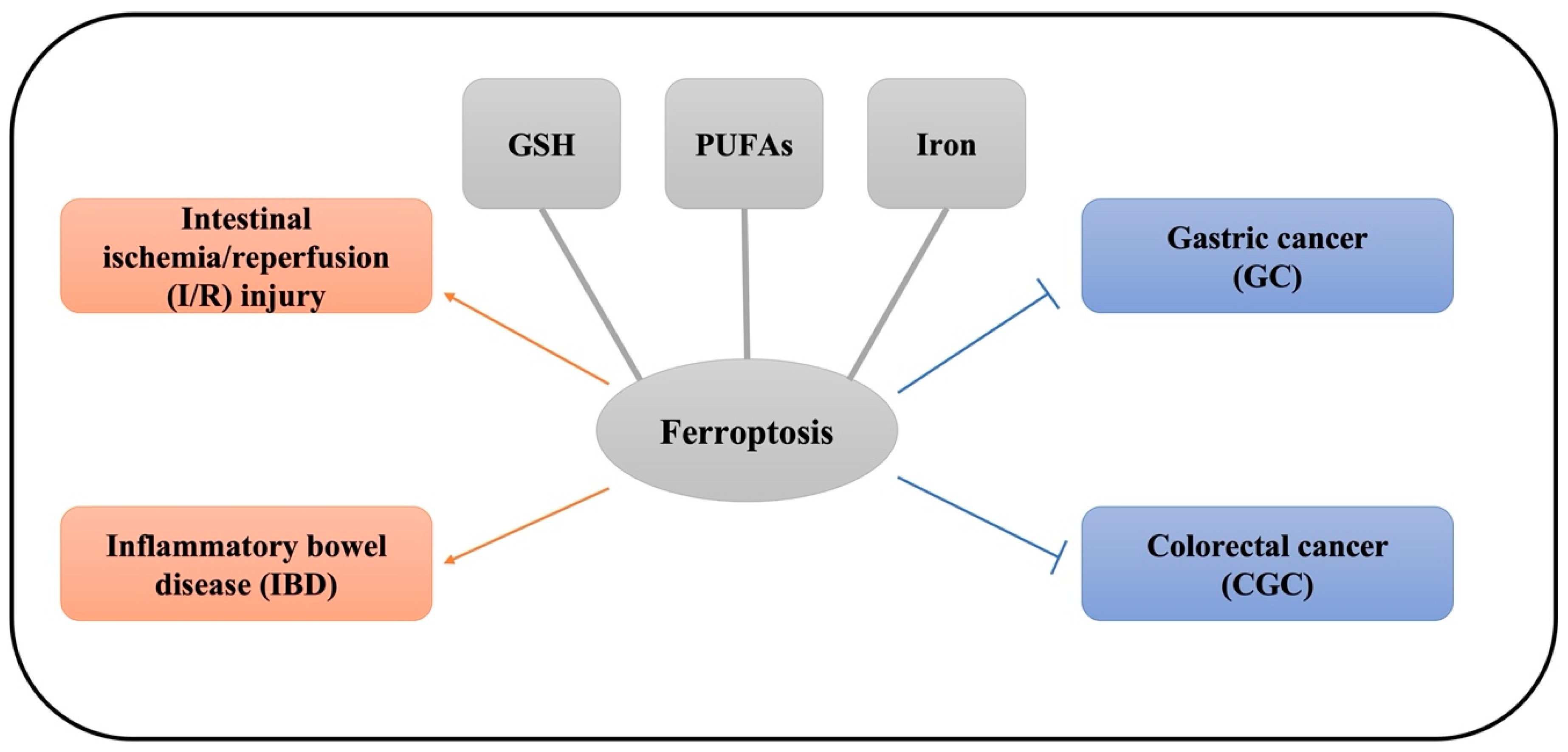 Ijms 22 12403 g002 550