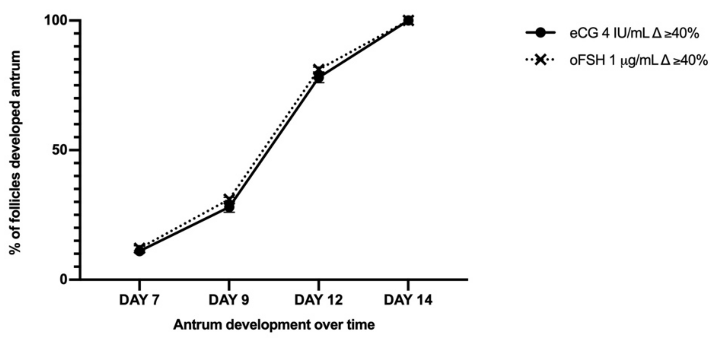 Ijms 22 12422 g004 Ijms 22 12422 g004