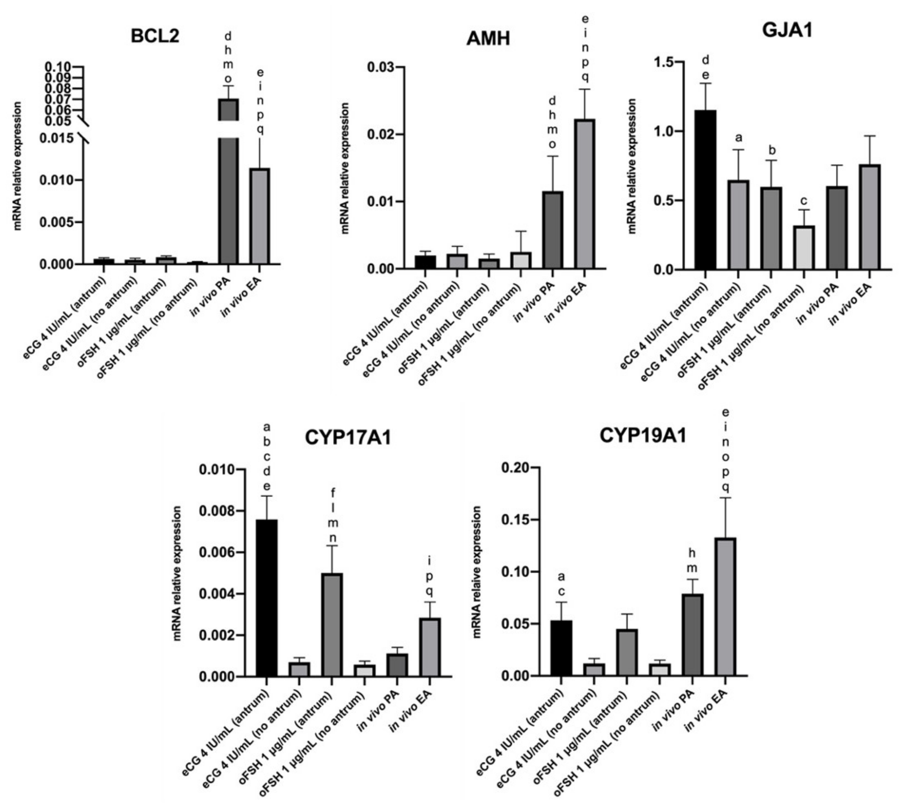Ijms 22 12422 g006 Ijms 22 12422 g006